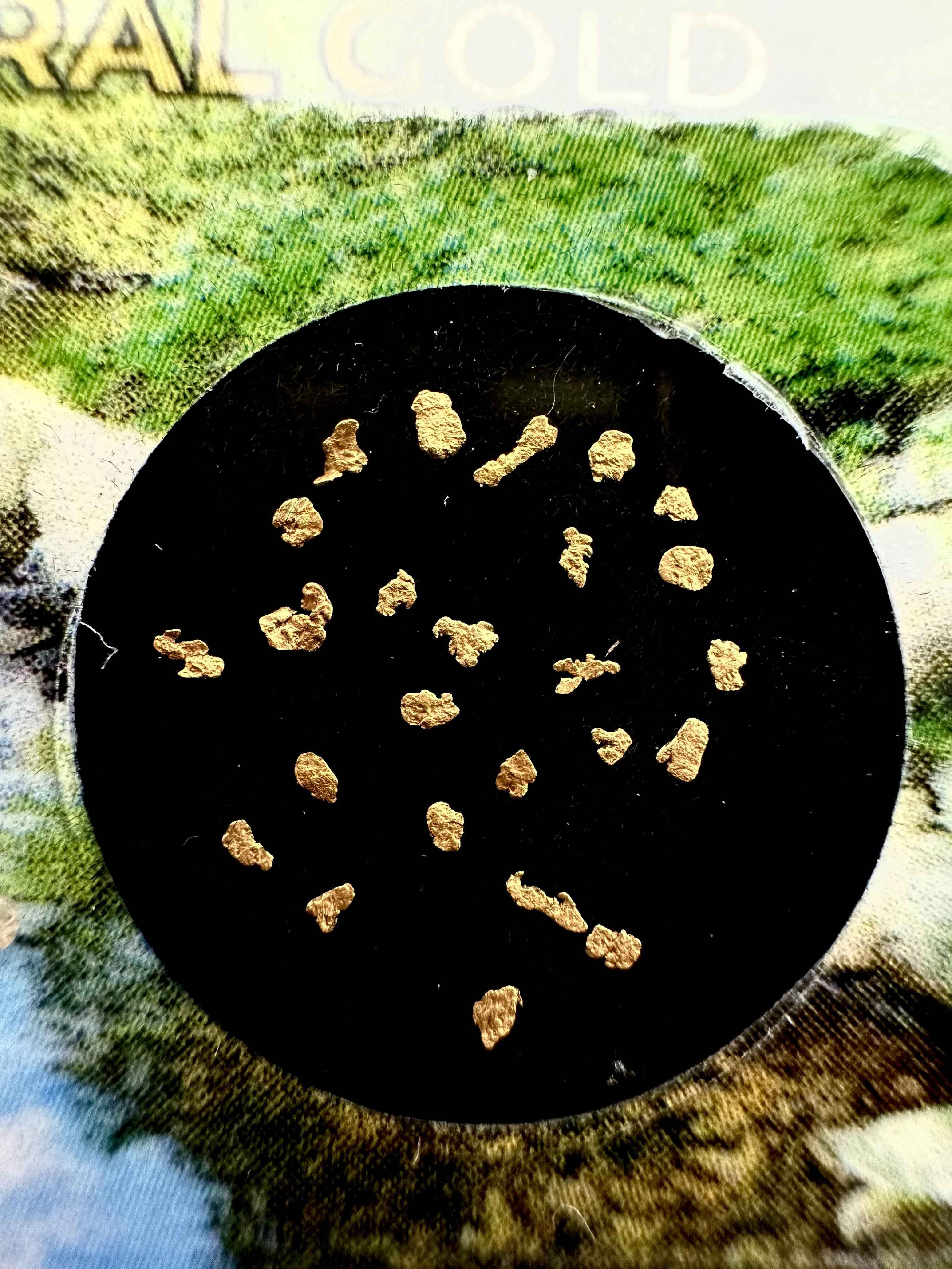Gold in box – Blanice river, CZ - ZL104
