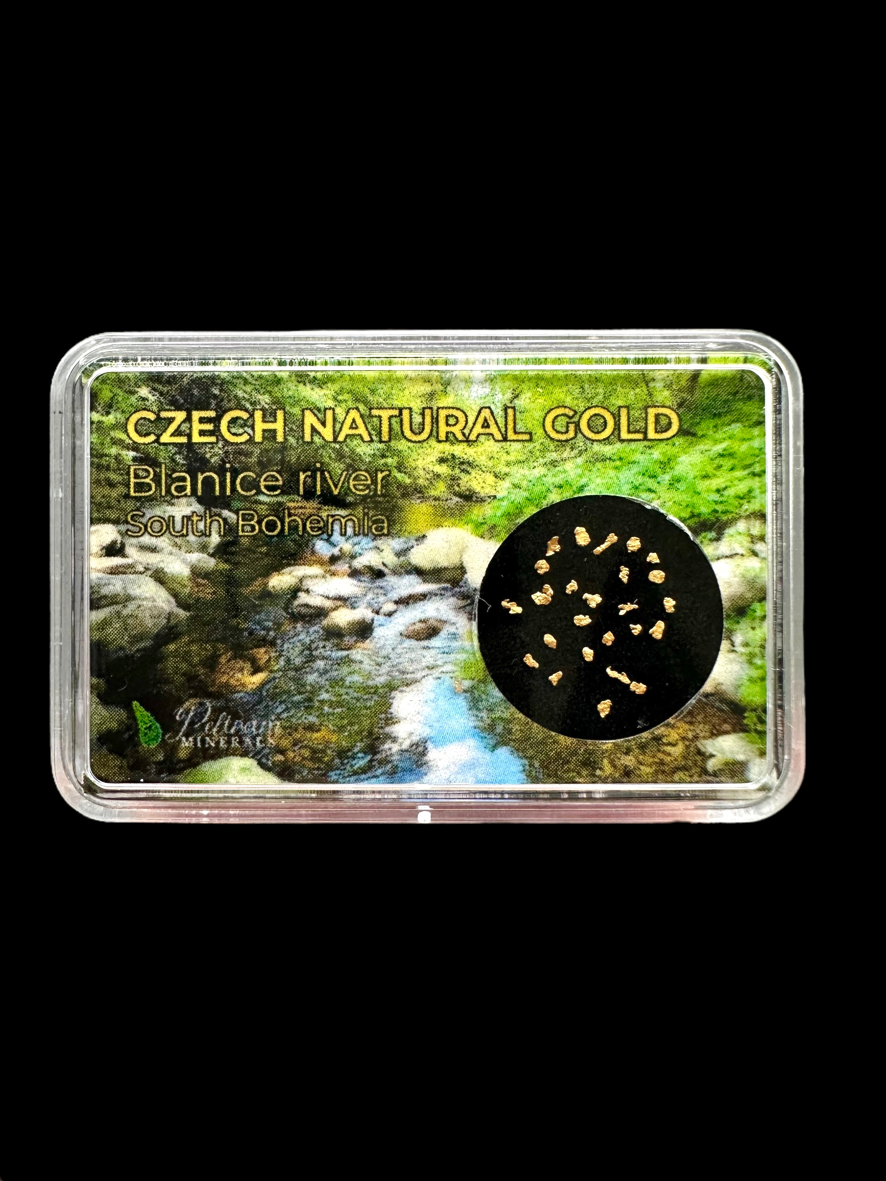 Gold in box – Blanice river, CZ