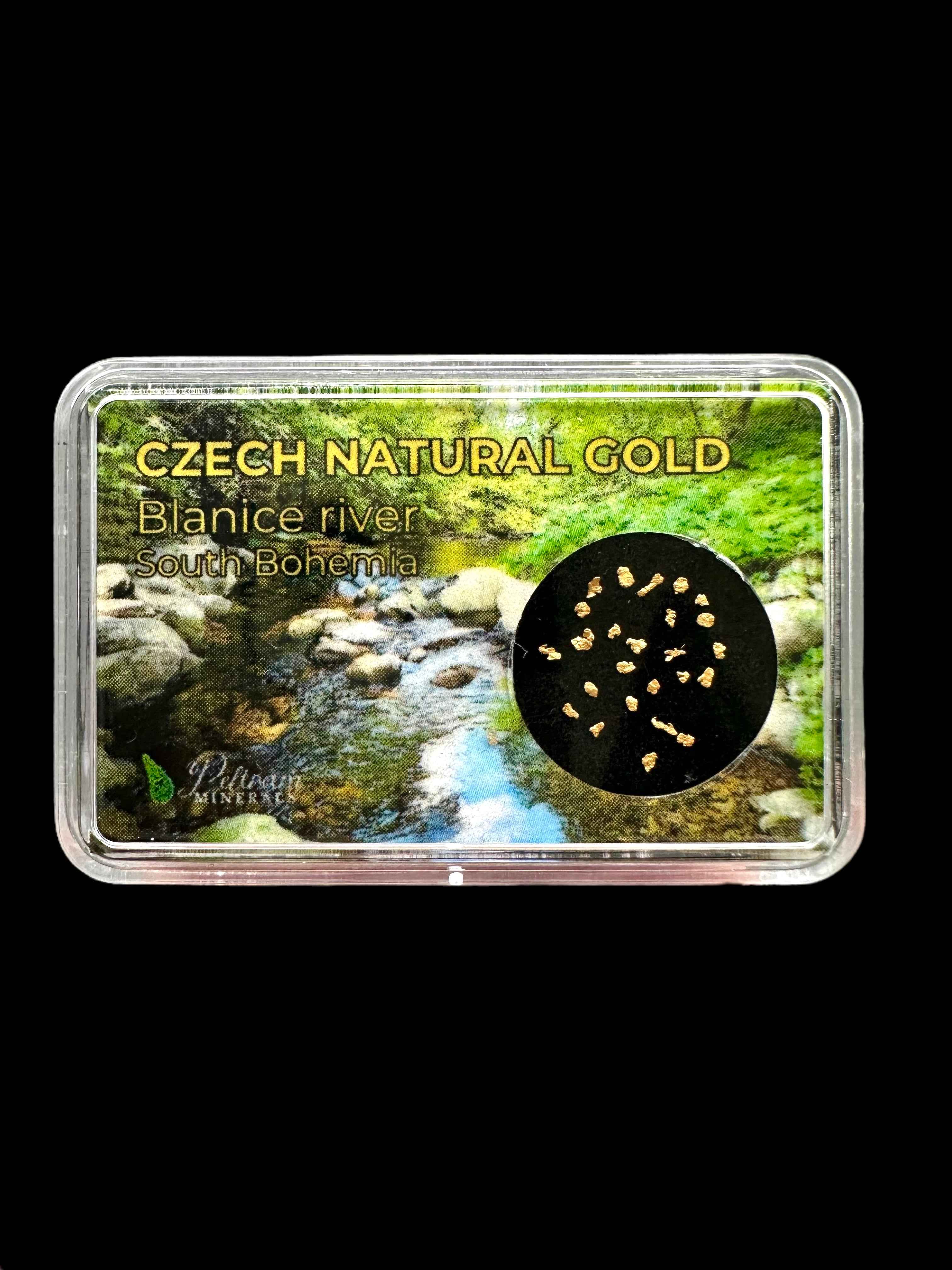 Gold in box – Blanice river, CZ