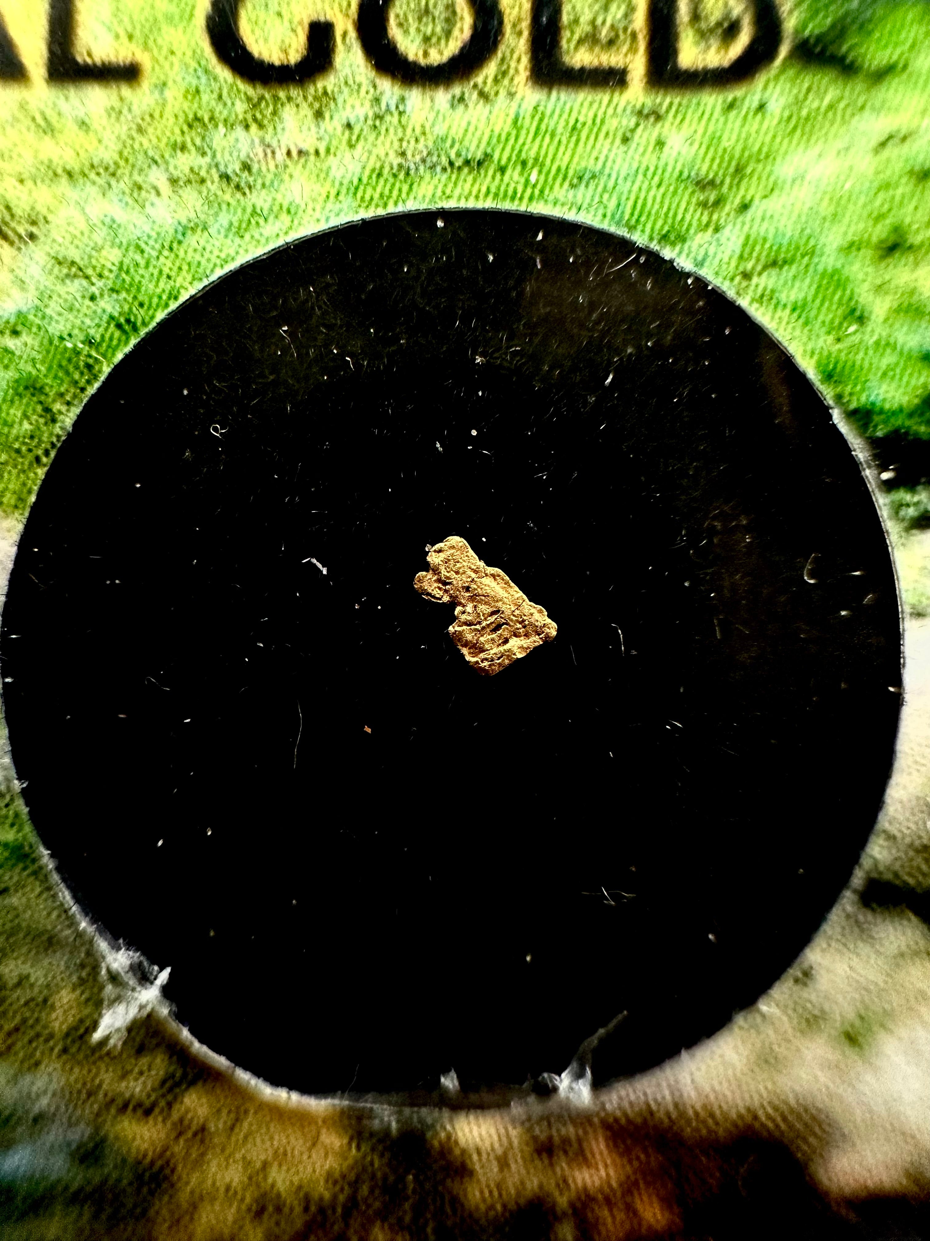 Gold in box – Blanice river, CZ - ZL105