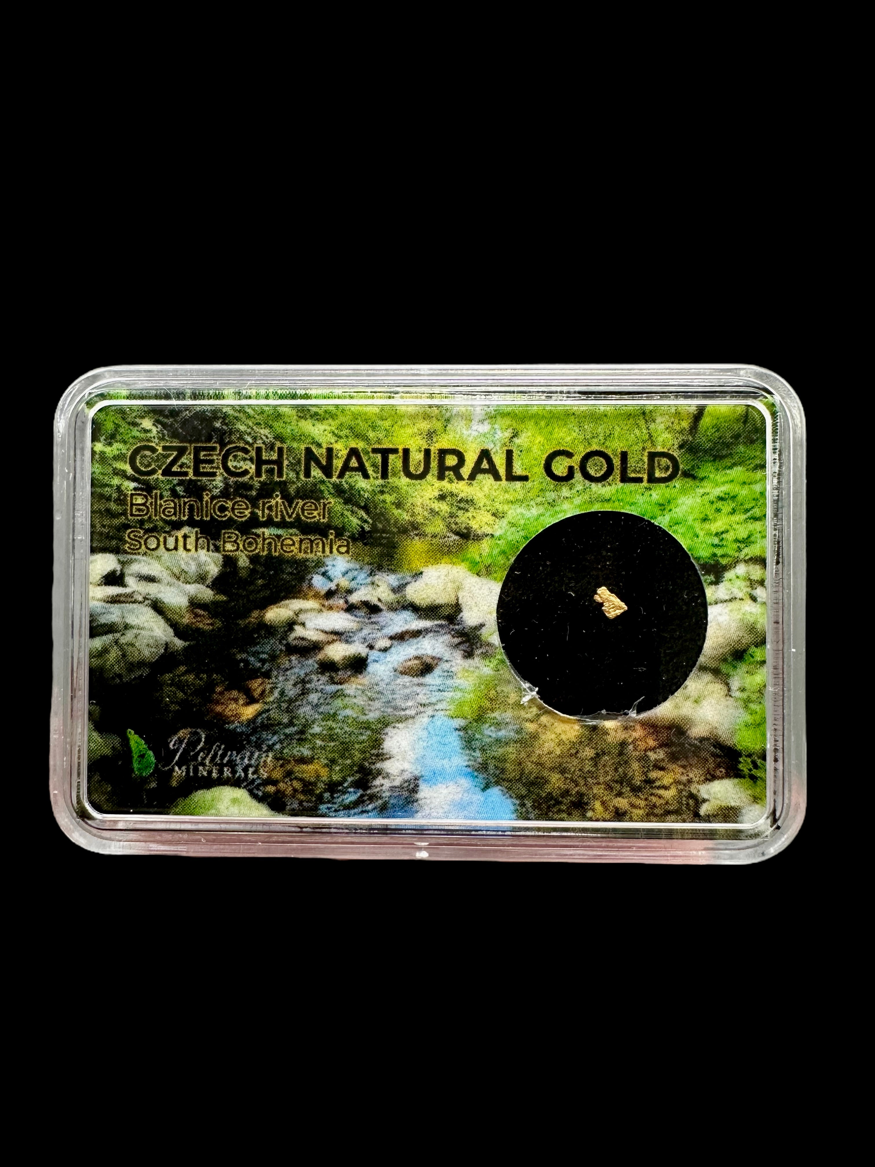 Gold in box – Blanice river, CZ