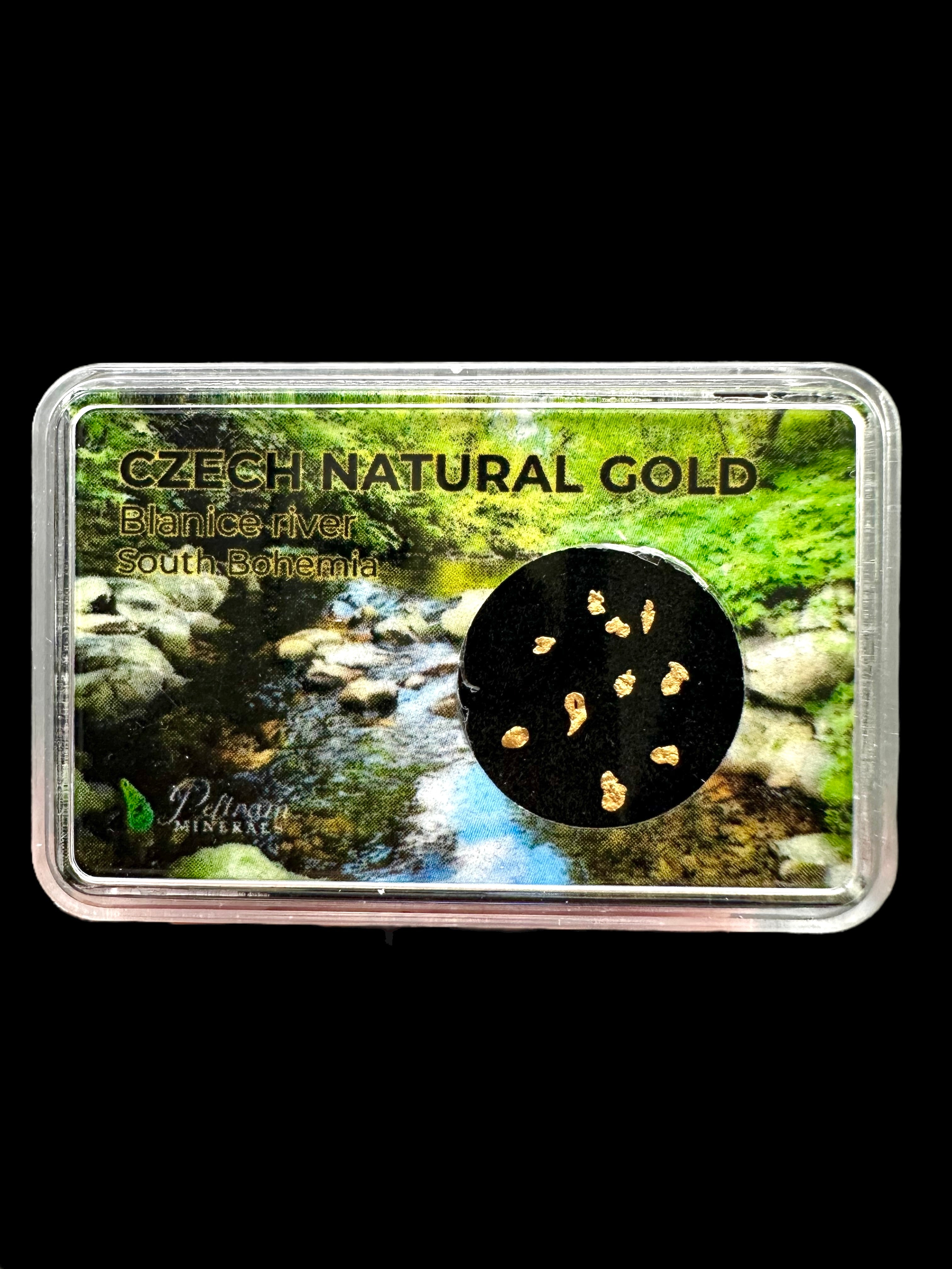 Gold in box – Blanice river, CZ
