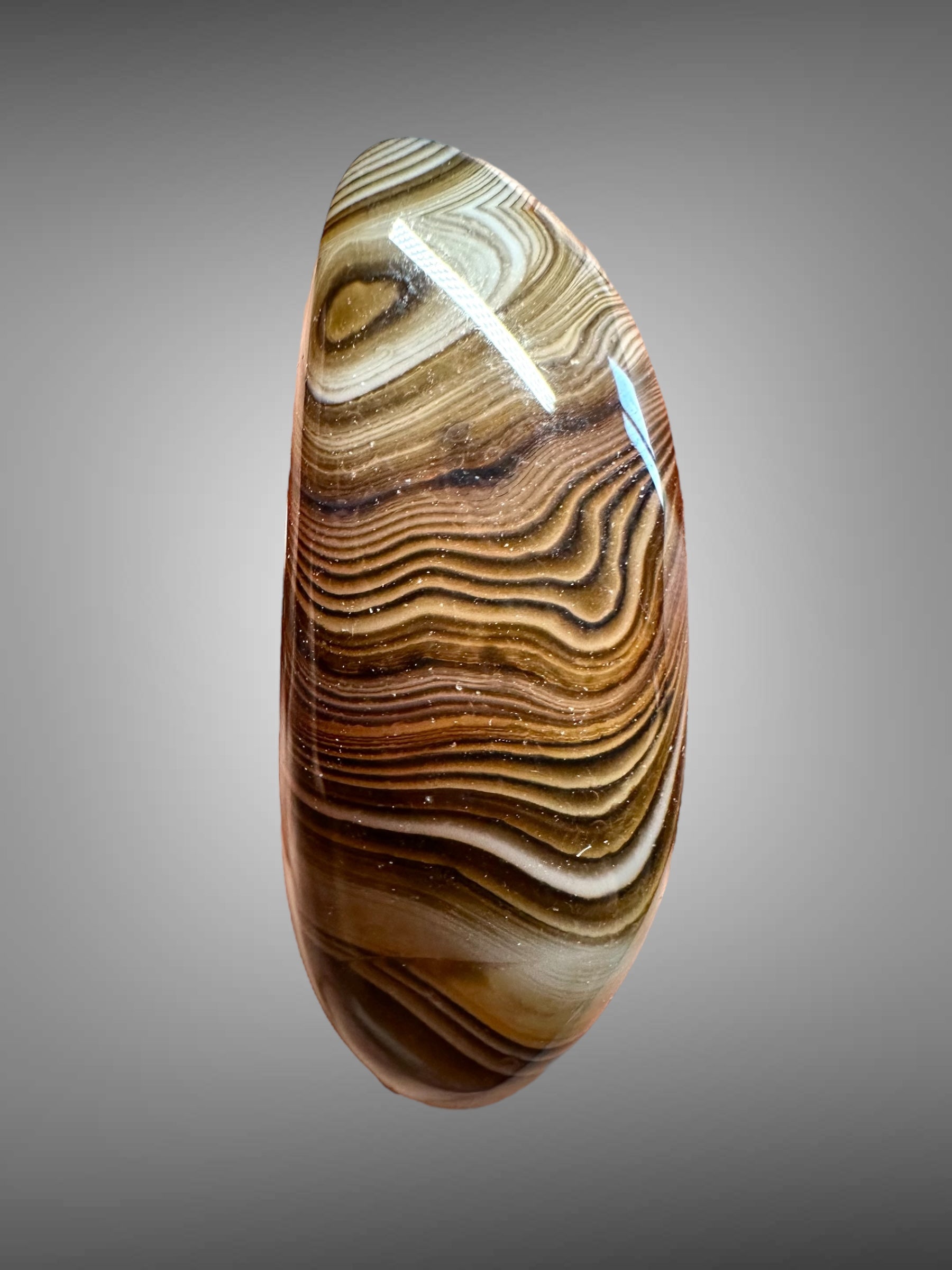Tumbled agate – Madagascar – random piece (2-4,5 cm) - MA00S