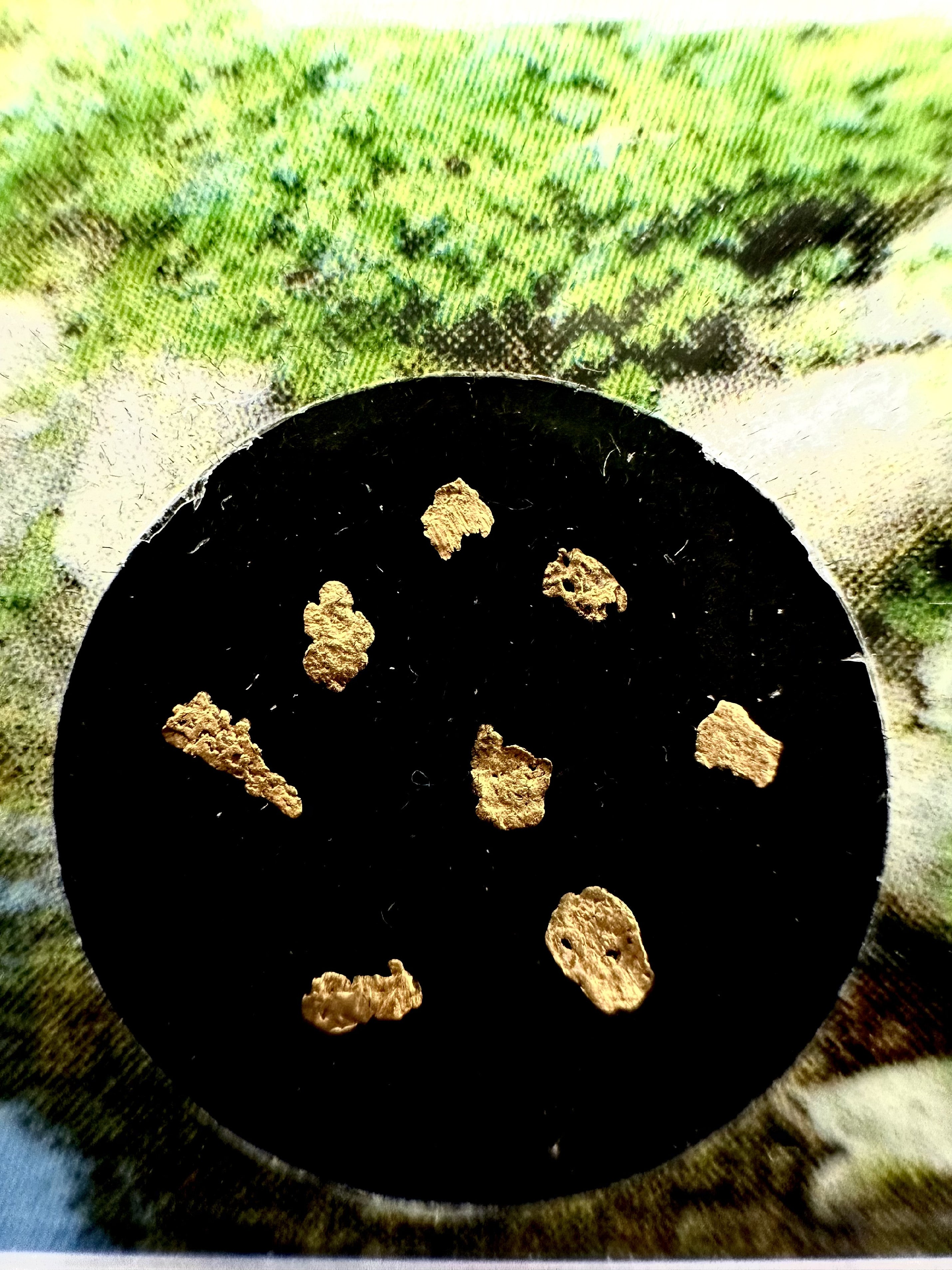 Gold in box – Blanice river, CZ - ZL108