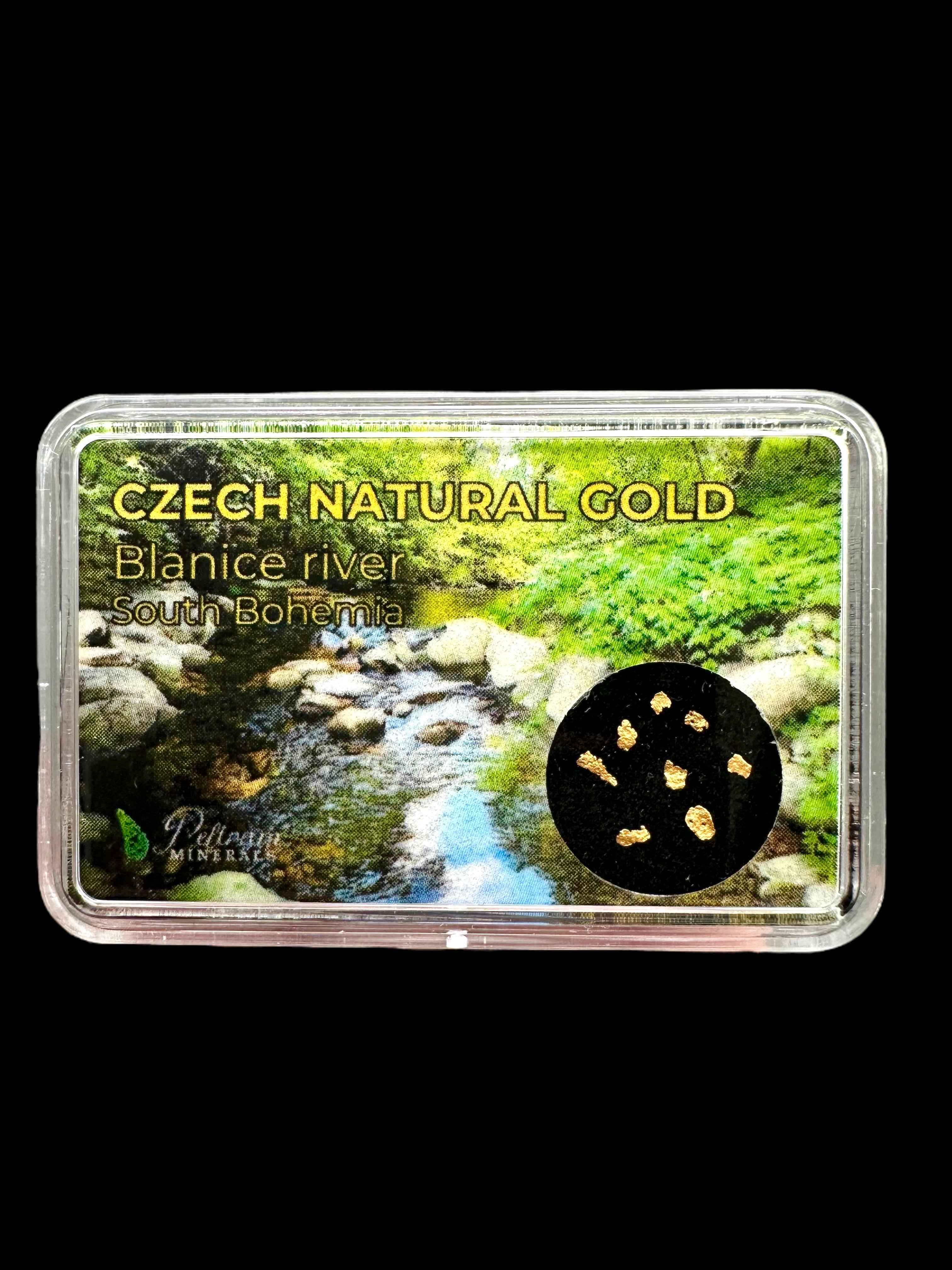 Gold in box – Blanice river, CZ