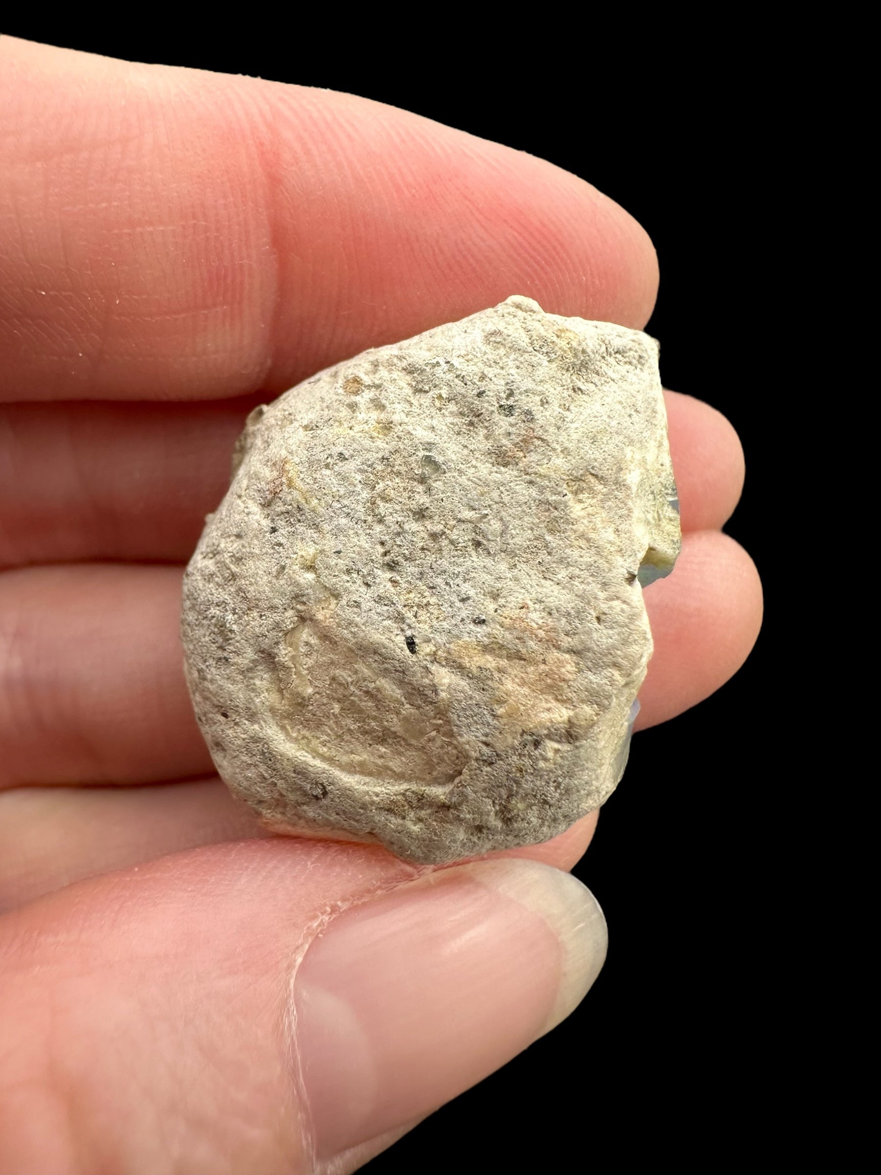 Precious opal 43,5ct – Welo, Ethiopia - OP249