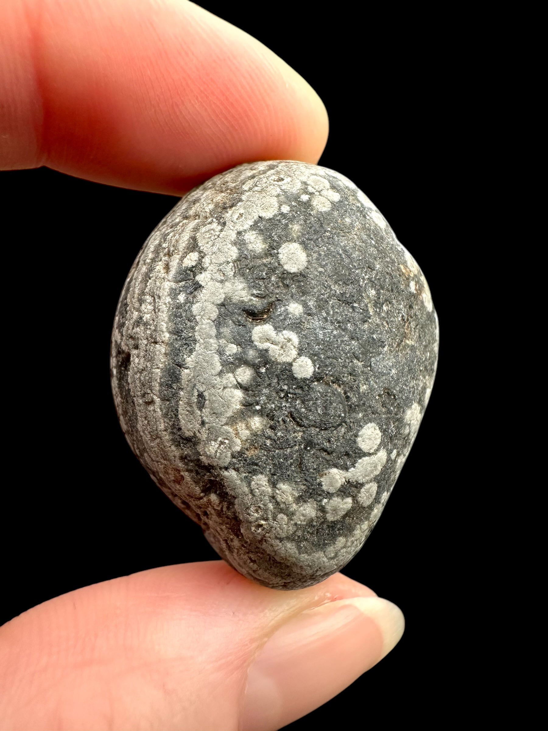 Javan flake obsidian 20,3g – Java, Indonesia - VO033