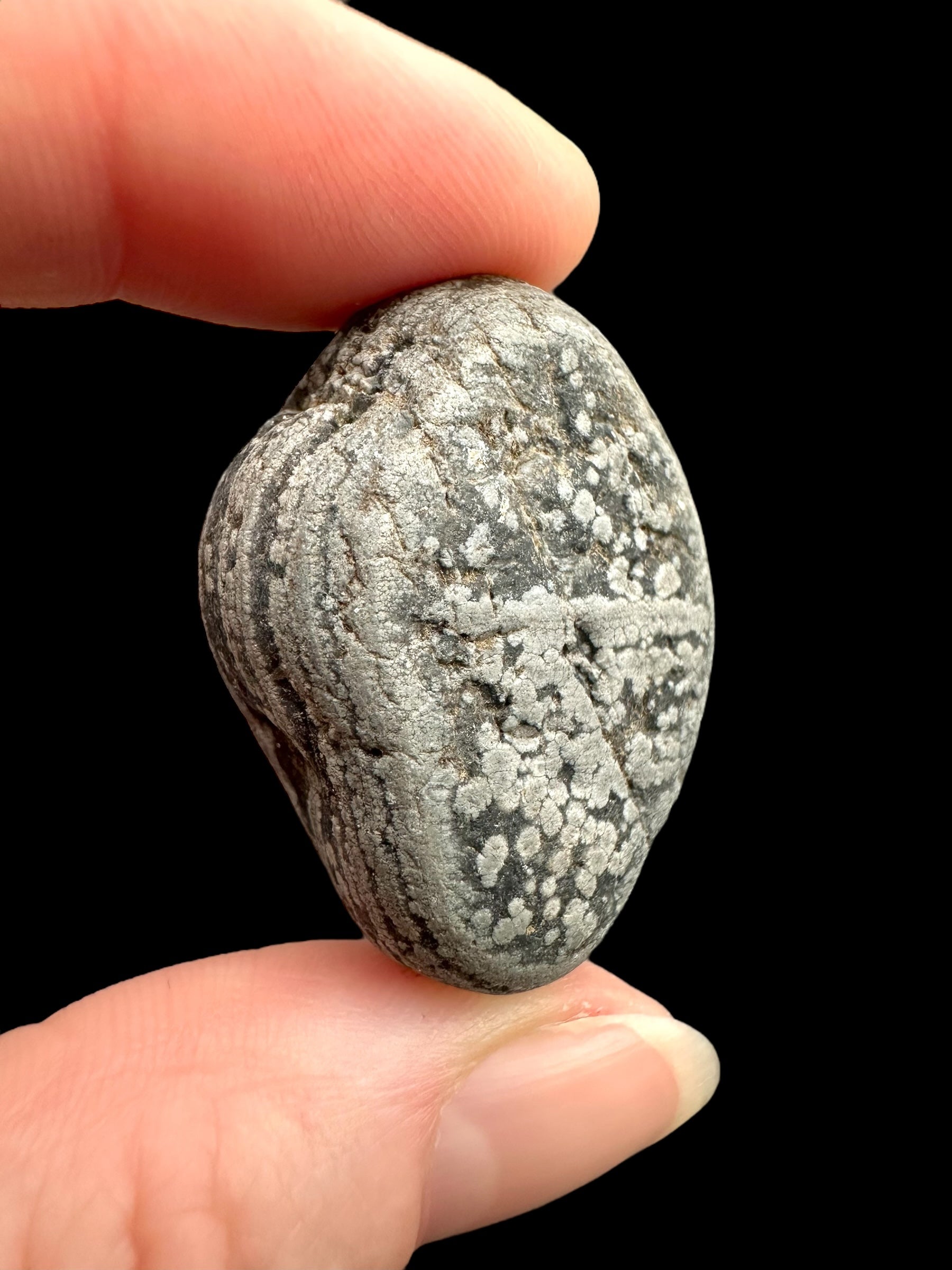 Javan flake obsidian 20,3g – Java, Indonesia - VO033