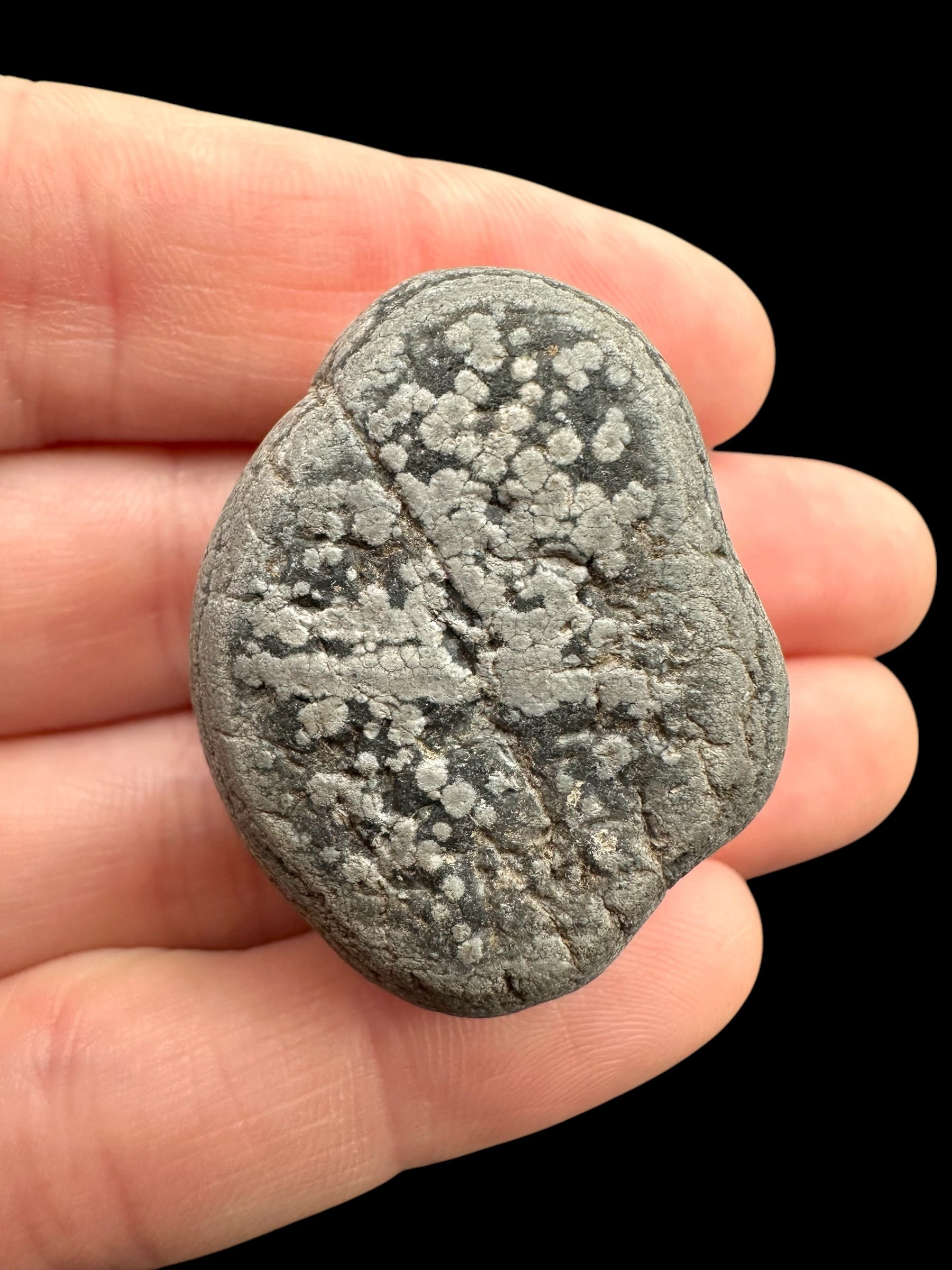Javan flake obsidian 20,3g – Java, Indonesia