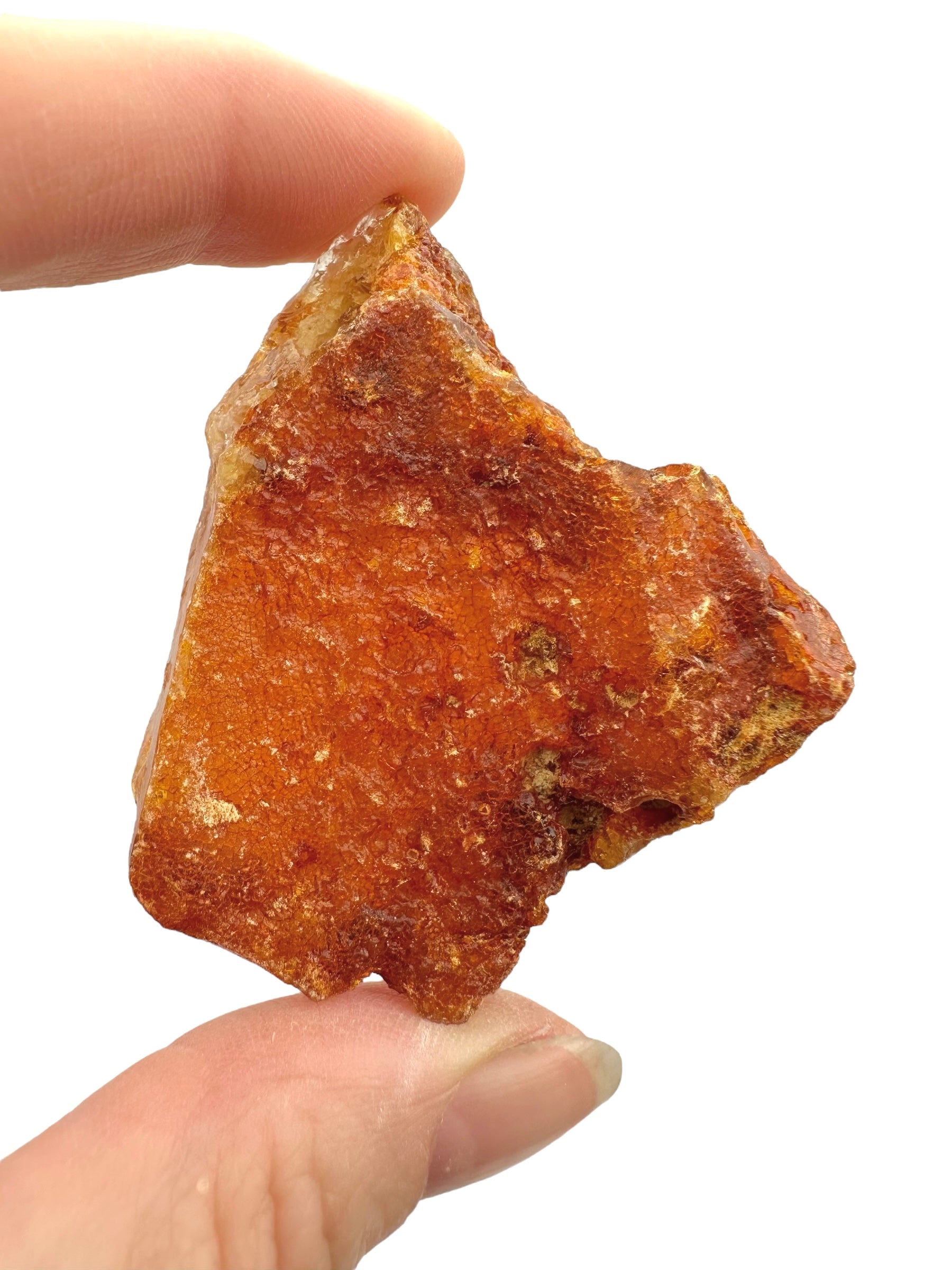 Raw Young Amber (Copal) – Colombia - JN229