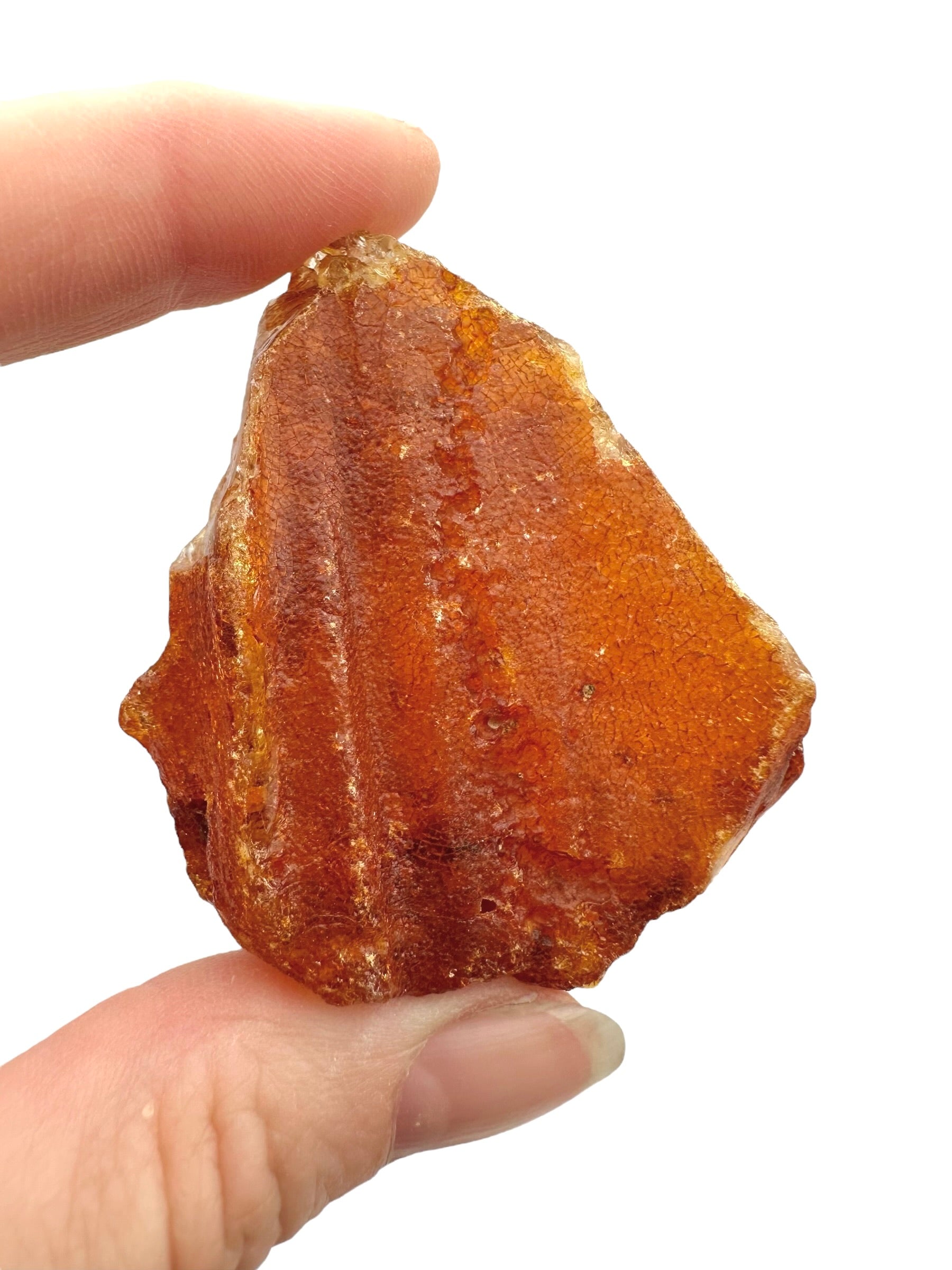 Raw Young Amber (Copal) – Colombia - JN229