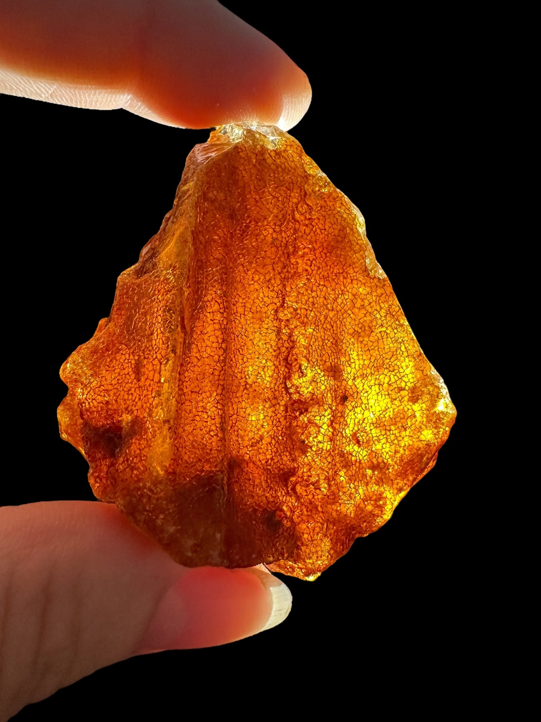 Raw Young Amber (Copal) – Colombia - JN229