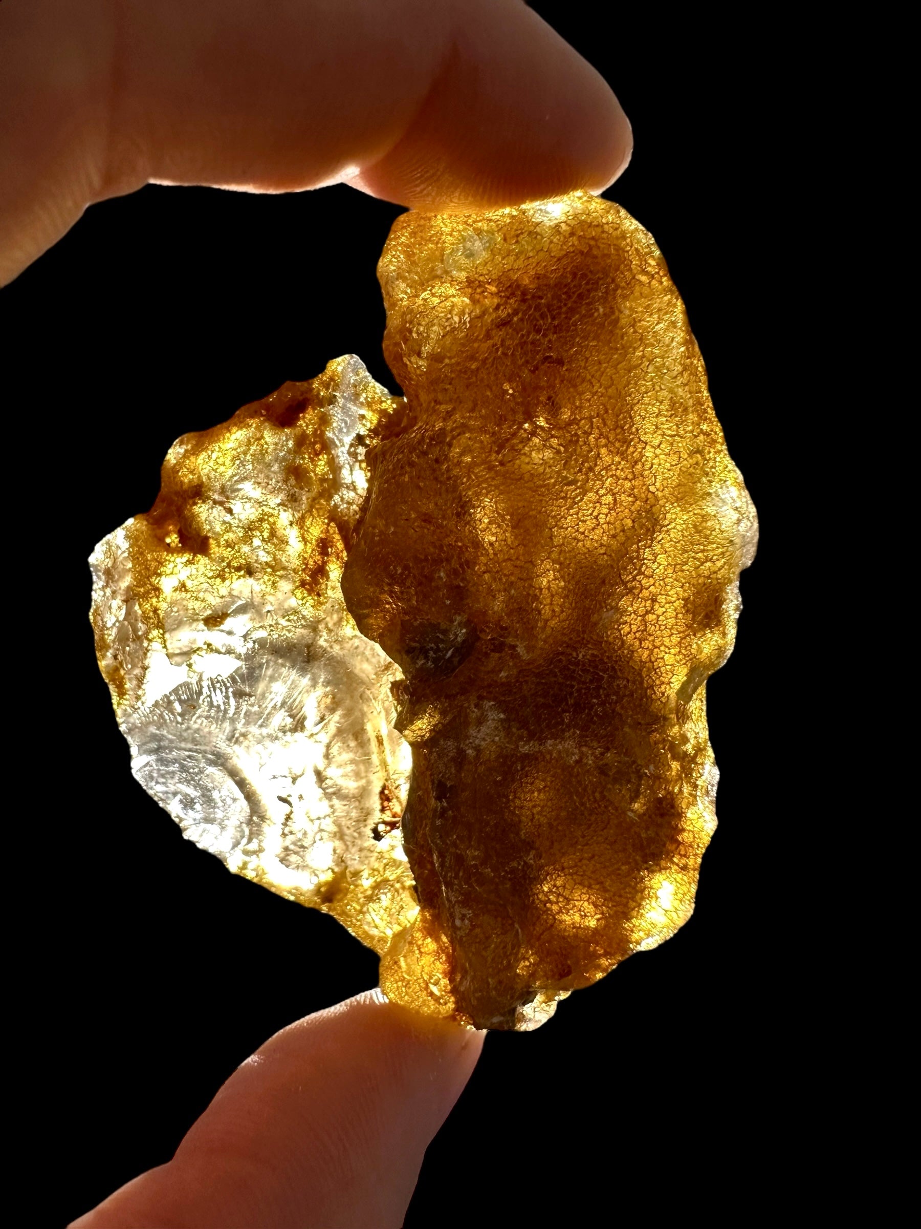 Raw Young Amber (Copal) – Colombia - JN232
