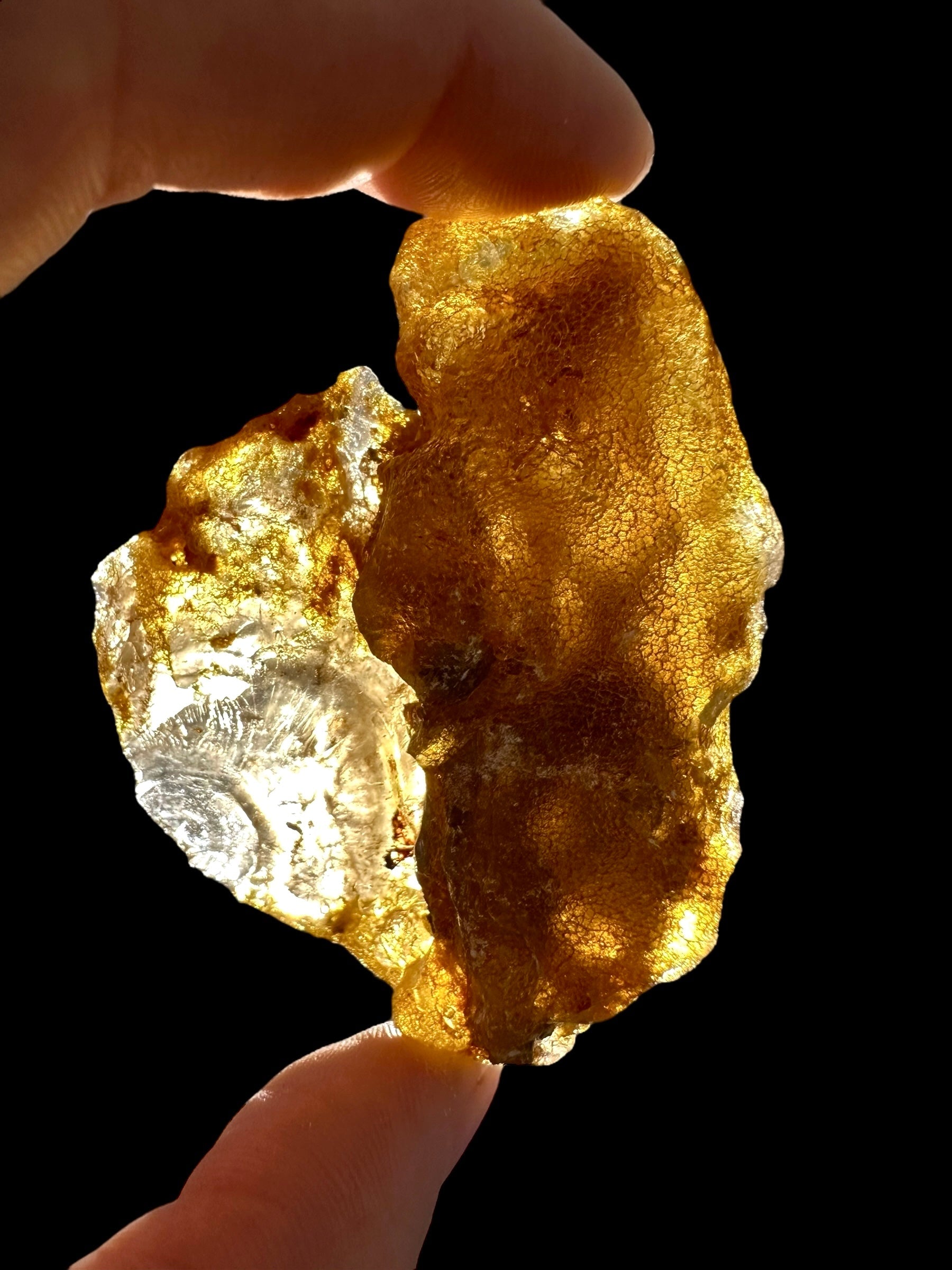 Raw Young Amber (Copal) – Colombia - JN232