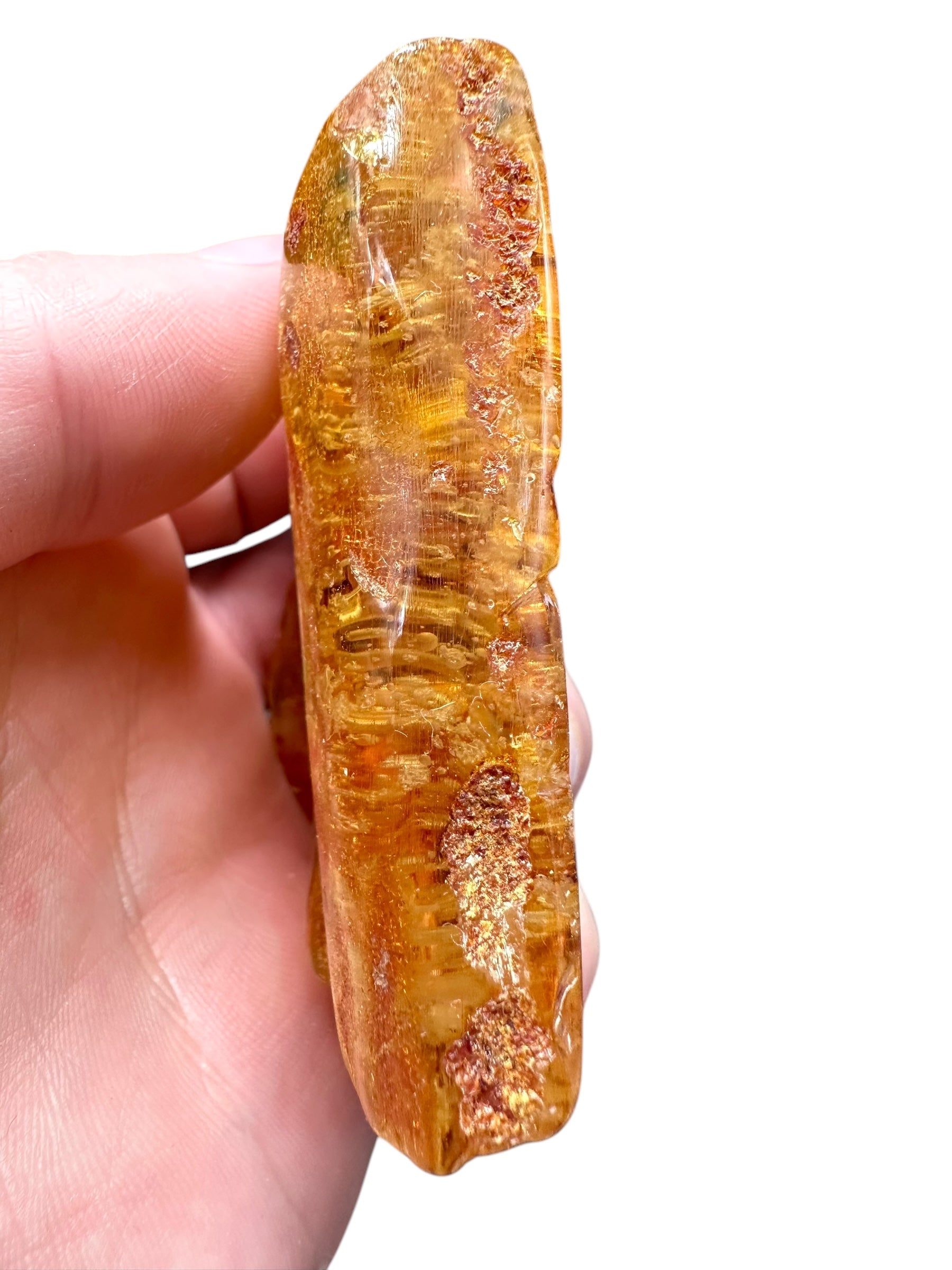 Young Amber (Copal) – Colombia - JN234