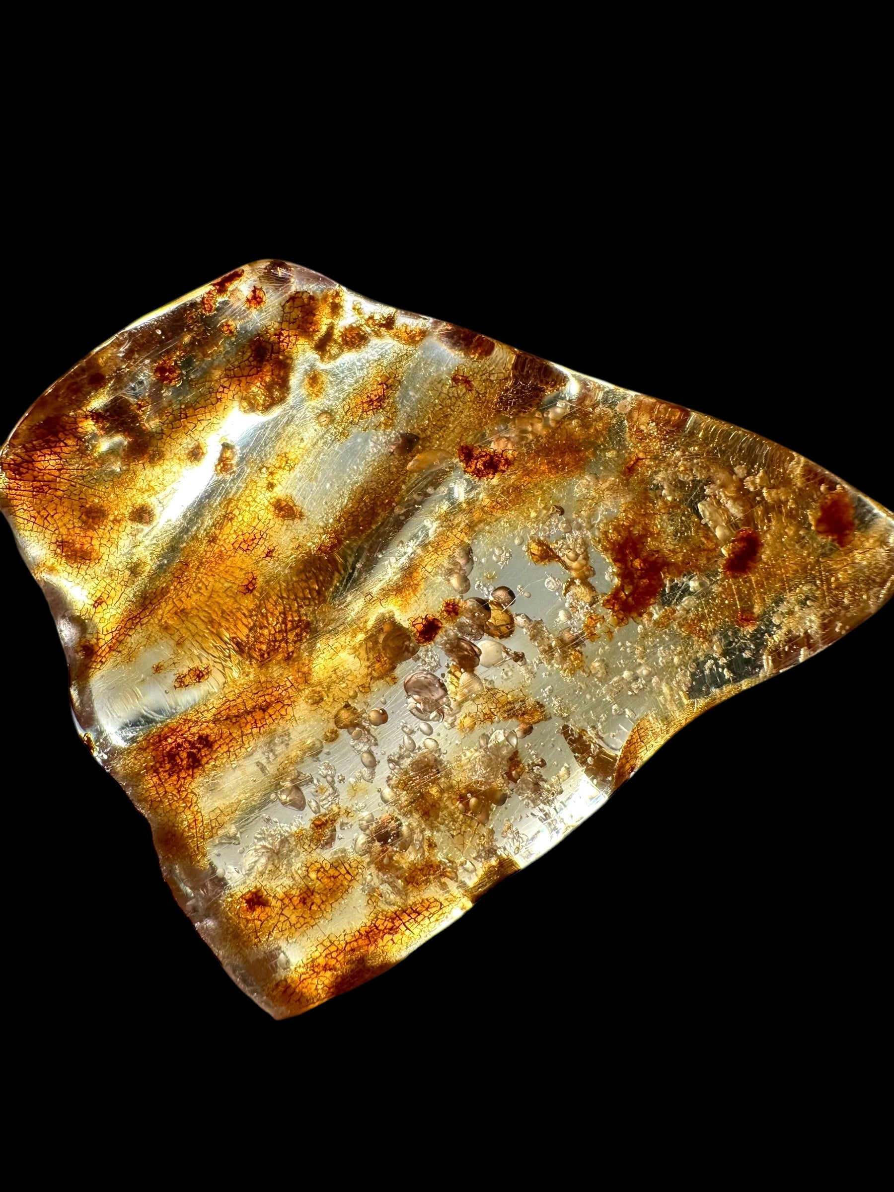 Young Amber (Copal) – Colombia - JN234
