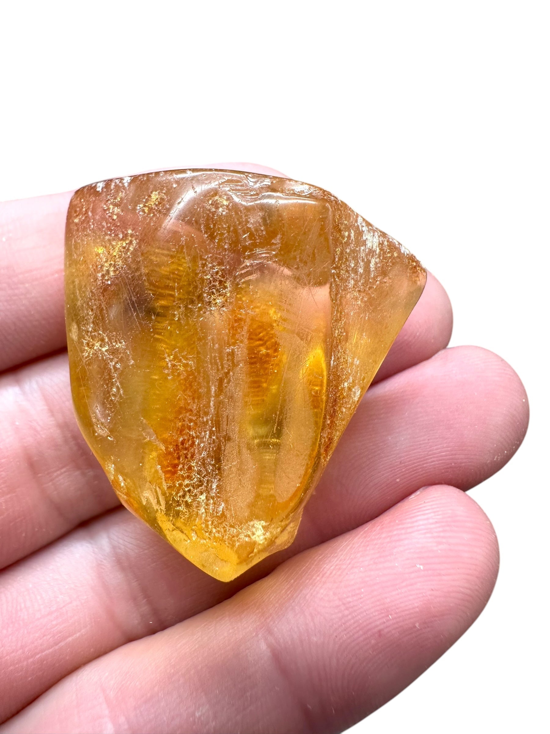 Young Amber (Copal) – Colombia - JN235