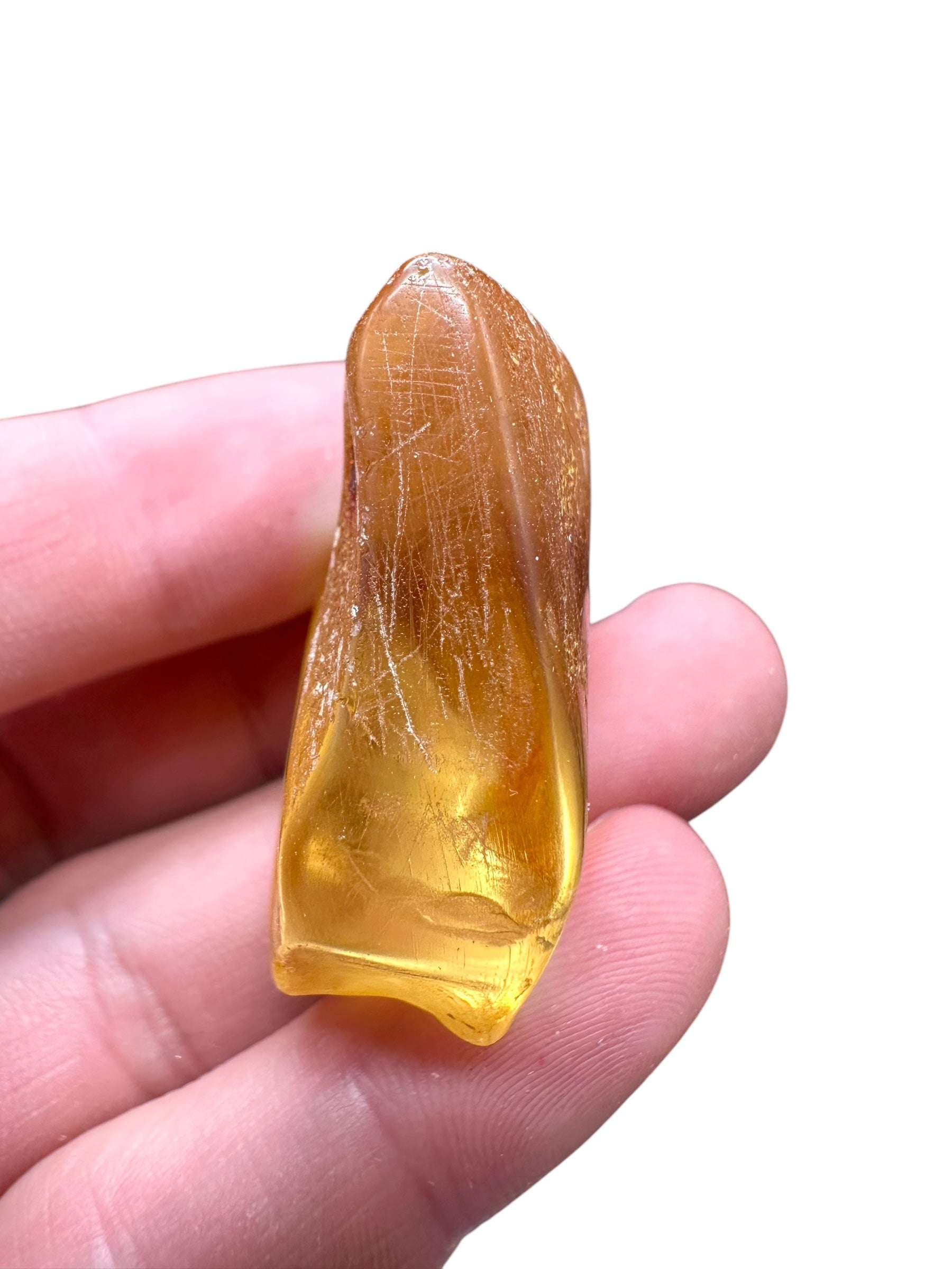 Young Amber (Copal) – Colombia - JN235