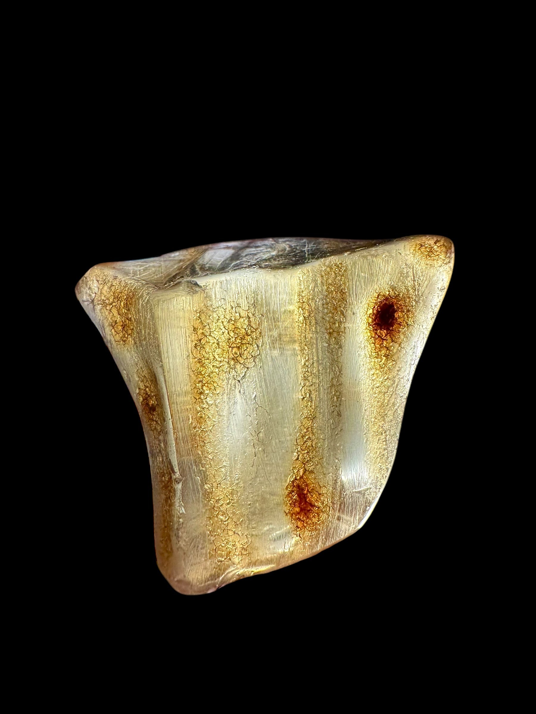 Young Amber (Copal) – Colombia - JN235