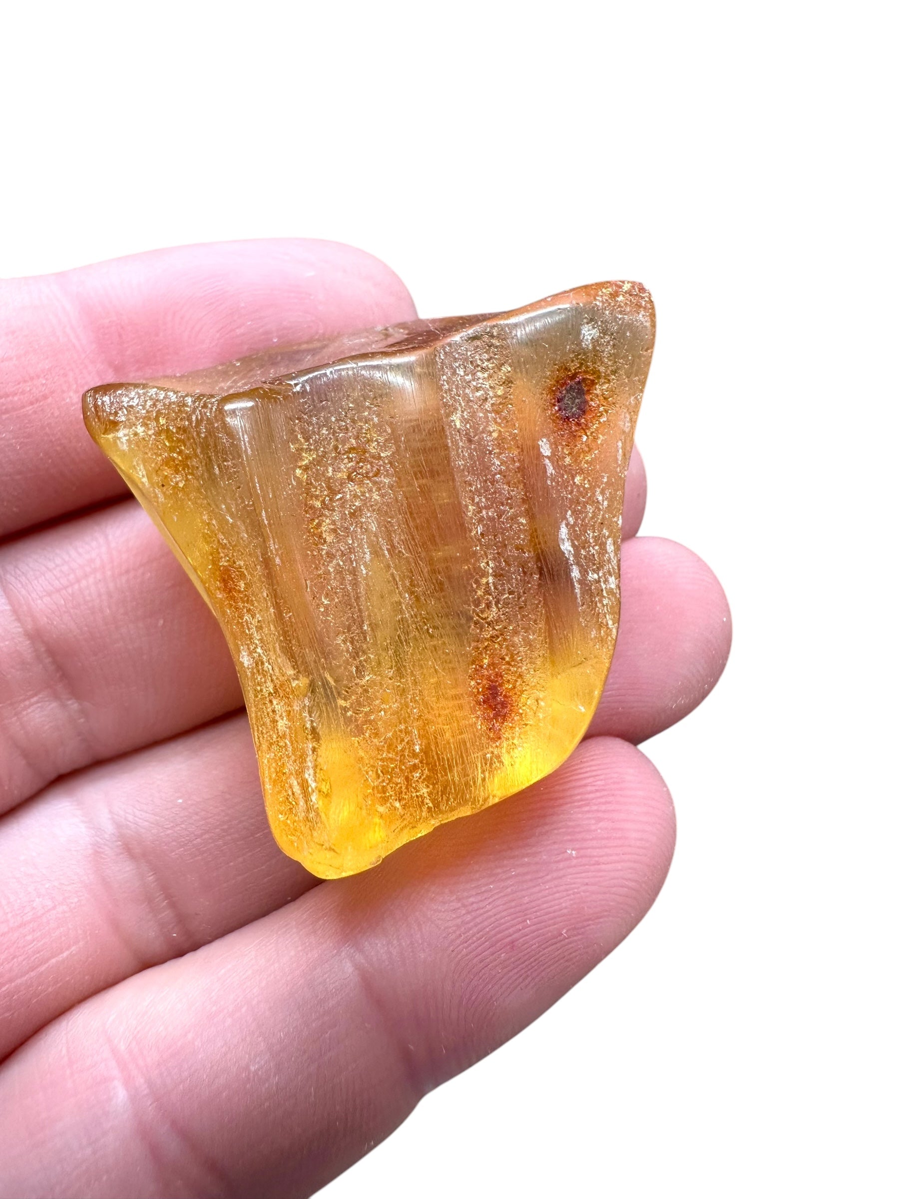 Young Amber (Copal) – Colombia