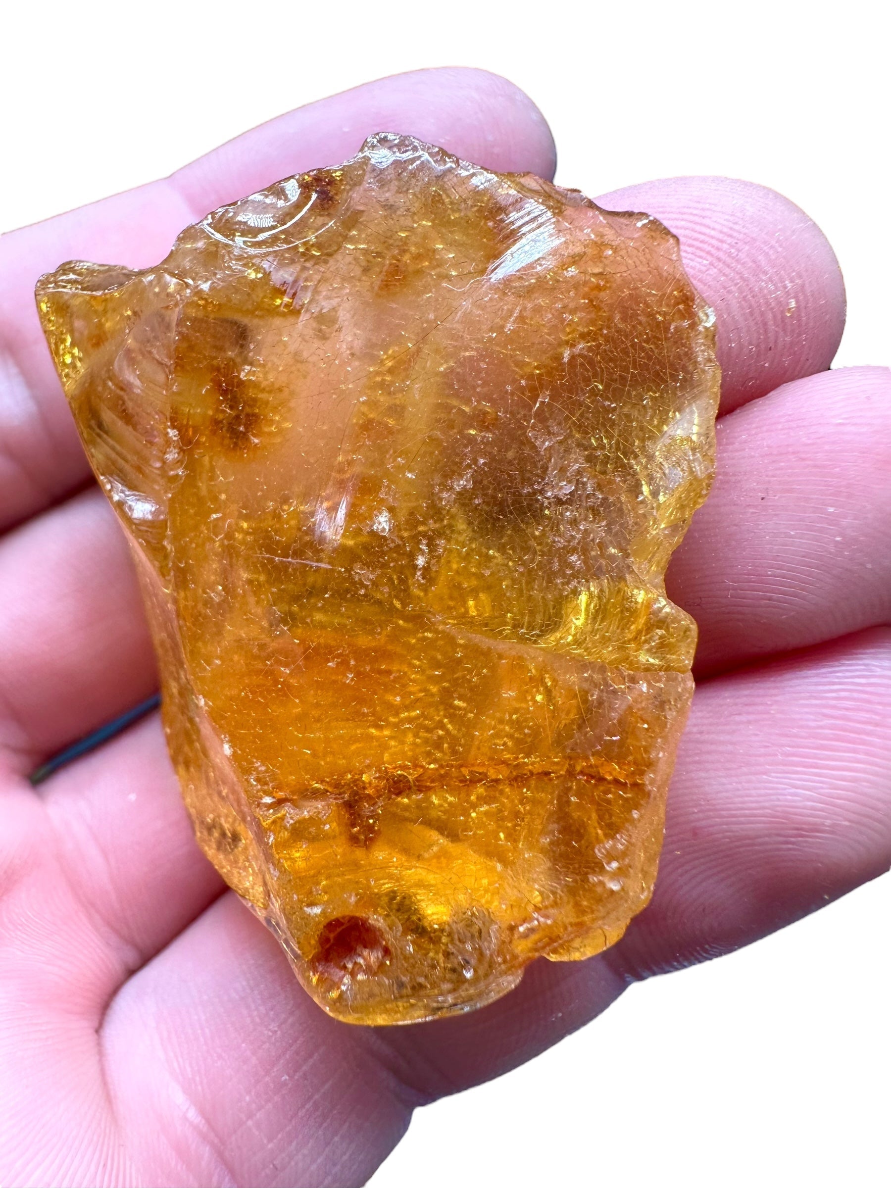 Young Amber (Copal) – Colombia - JN236