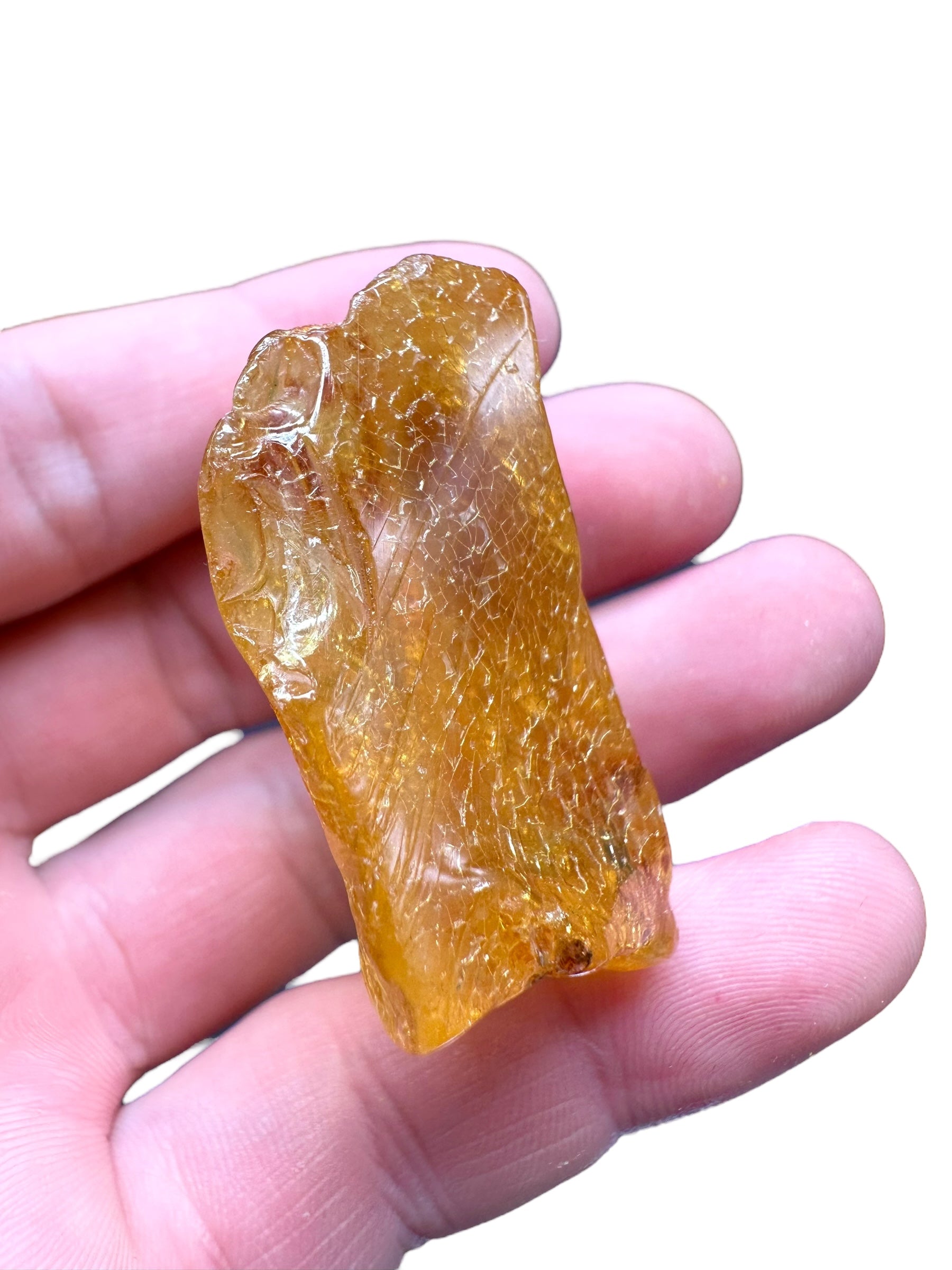 Young Amber (Copal) – Colombia - JN236