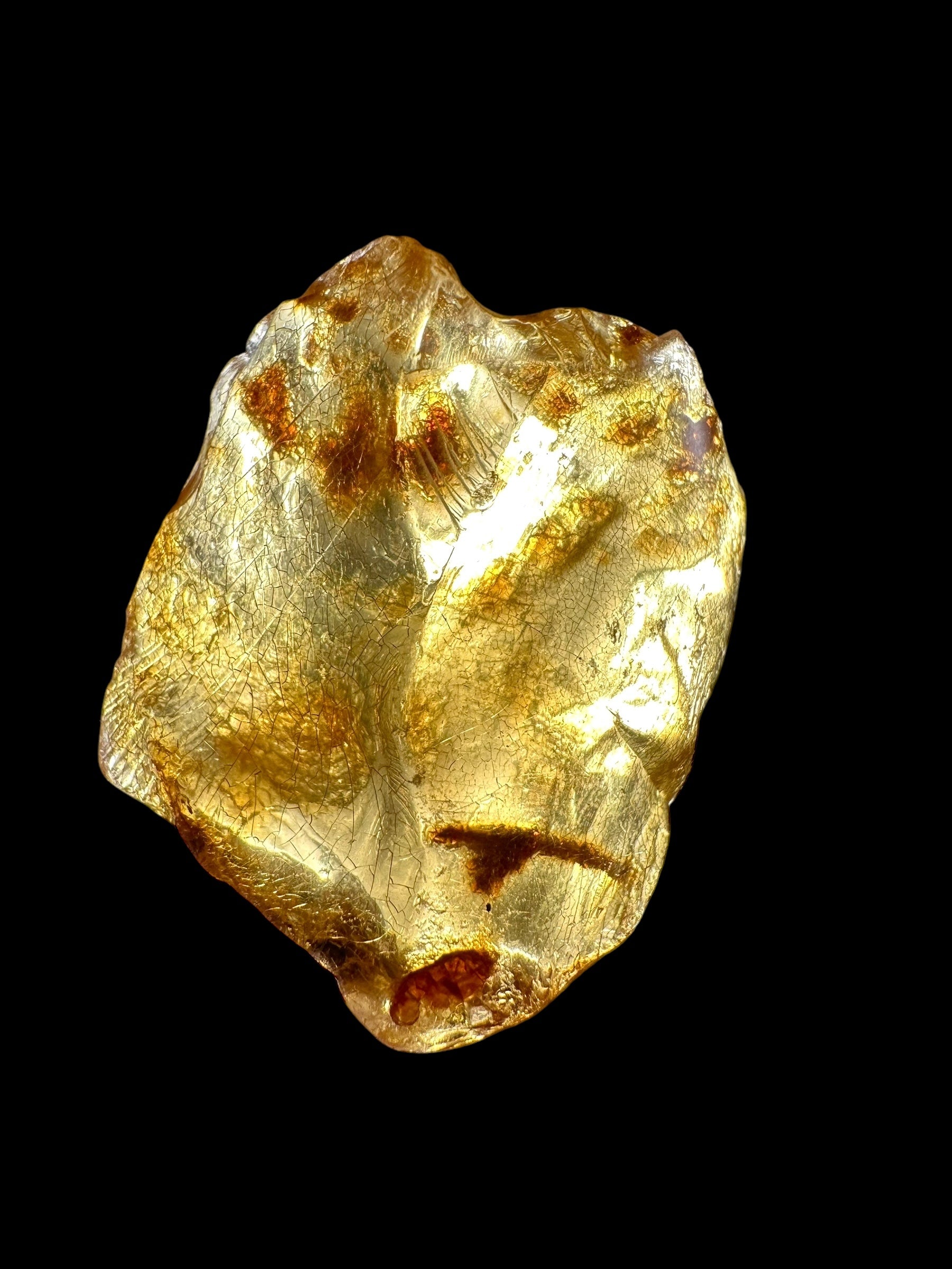 Young Amber (Copal) – Colombia - JN236