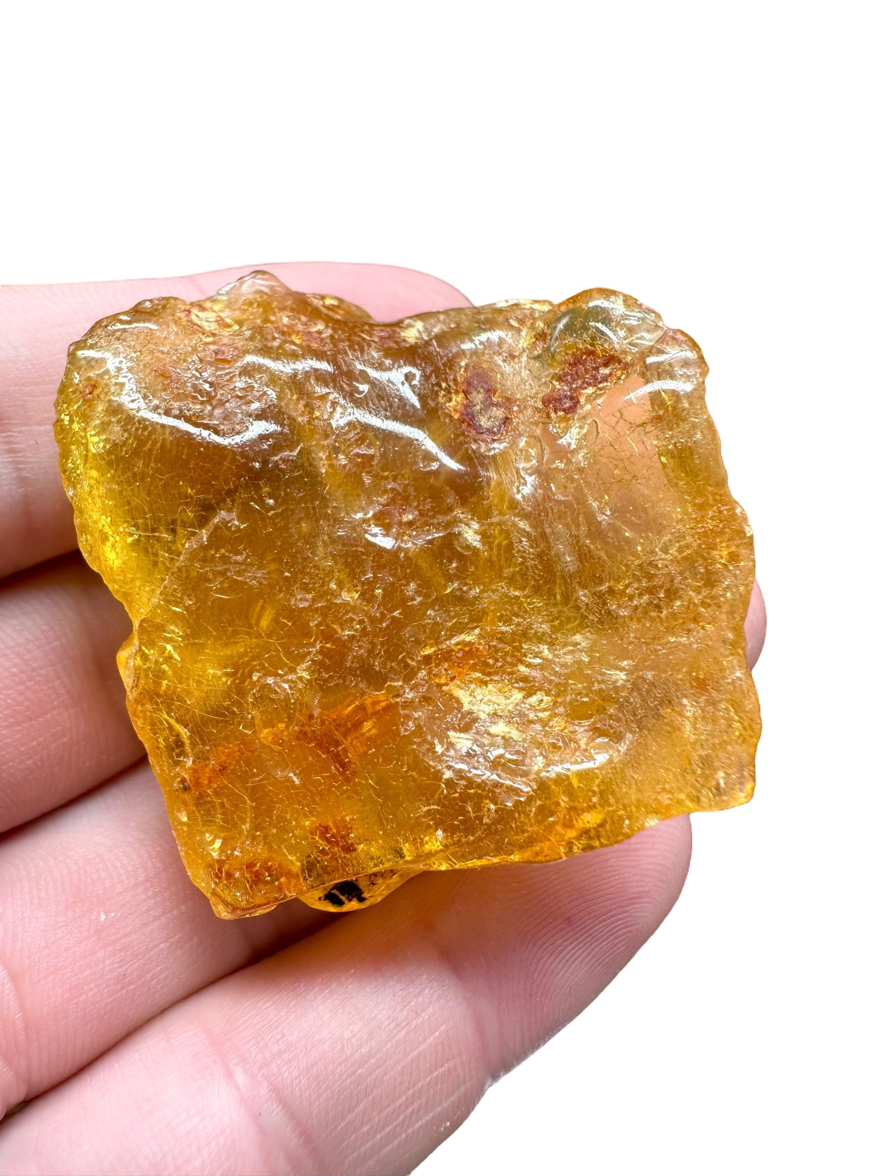 Young Amber (Copal) – Colombia