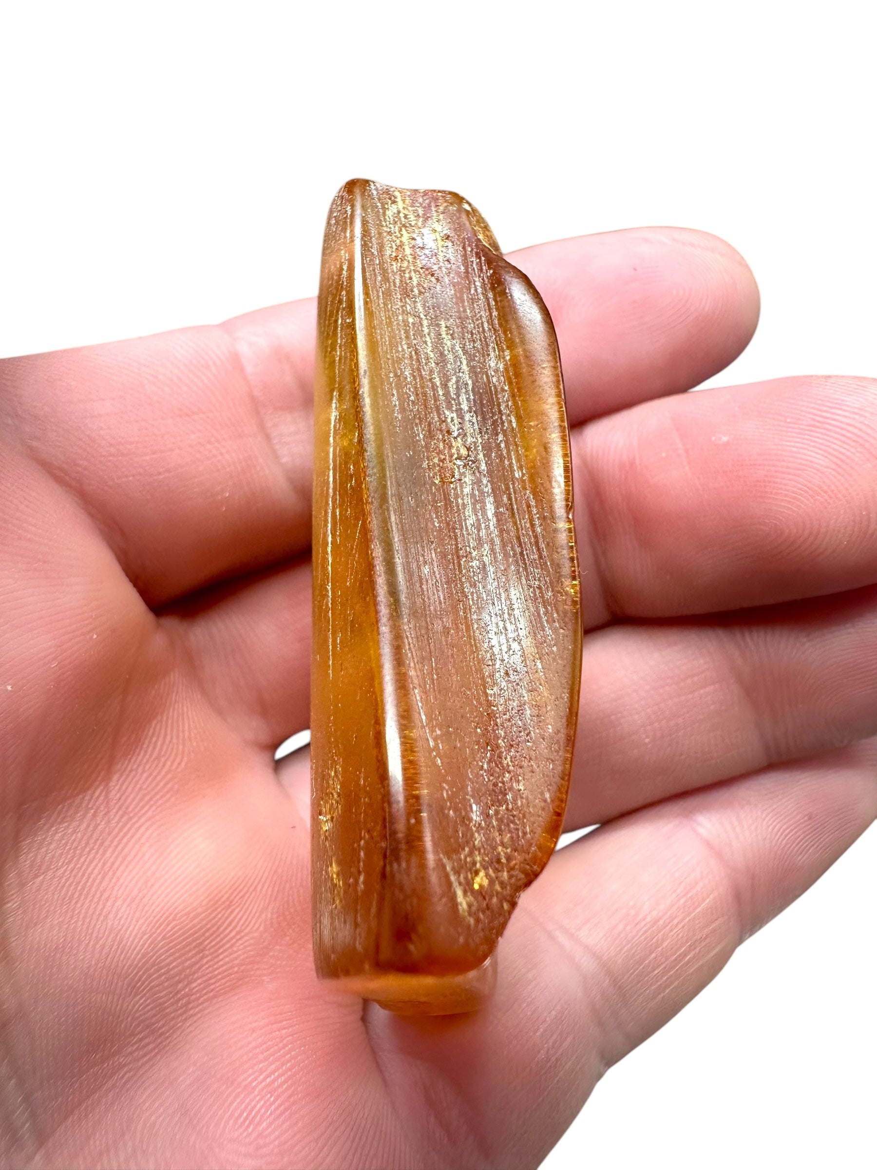 Young Amber (Copal) – Colombia - JN239