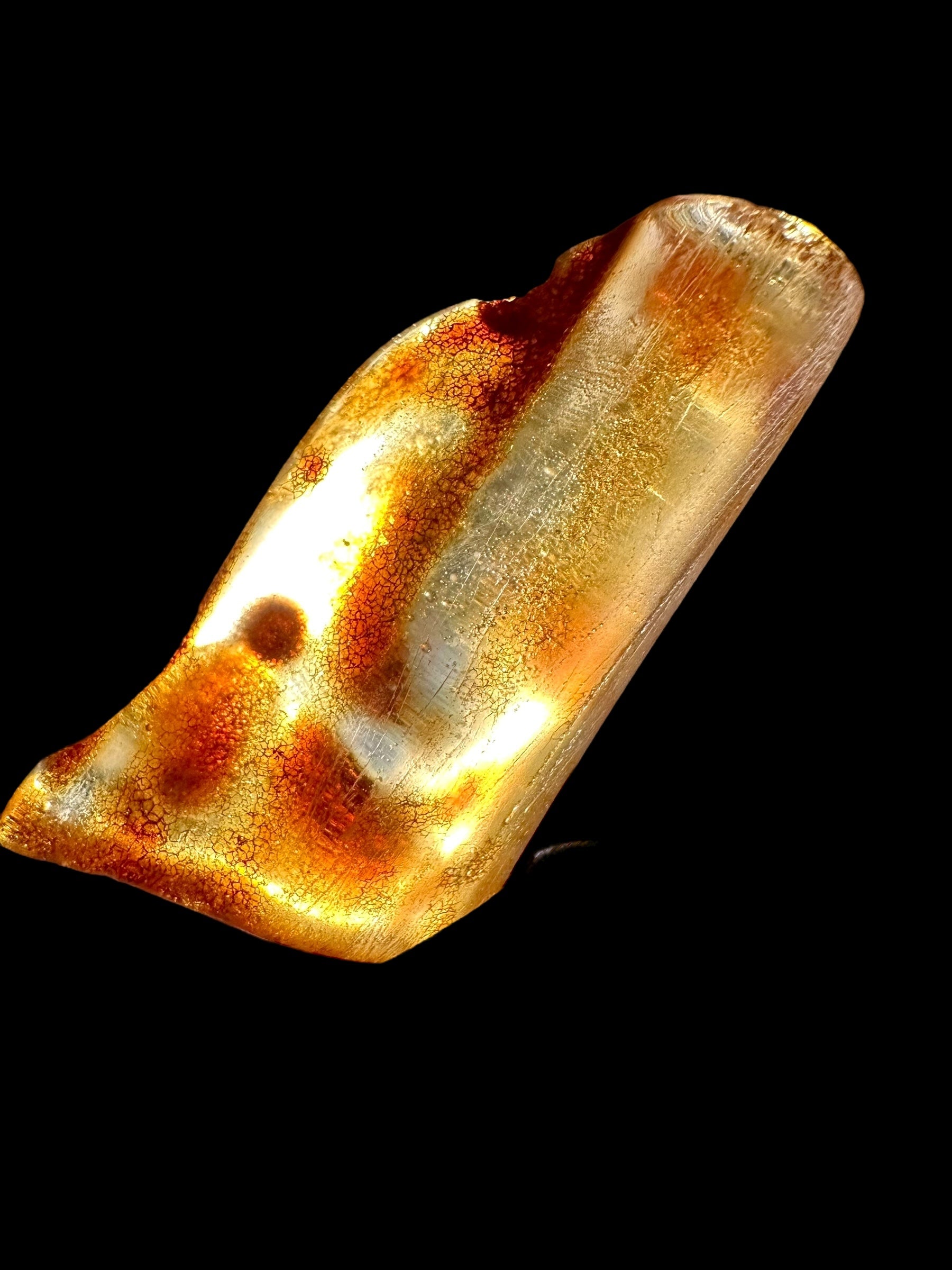 Young Amber (Copal) – Colombia - JN239