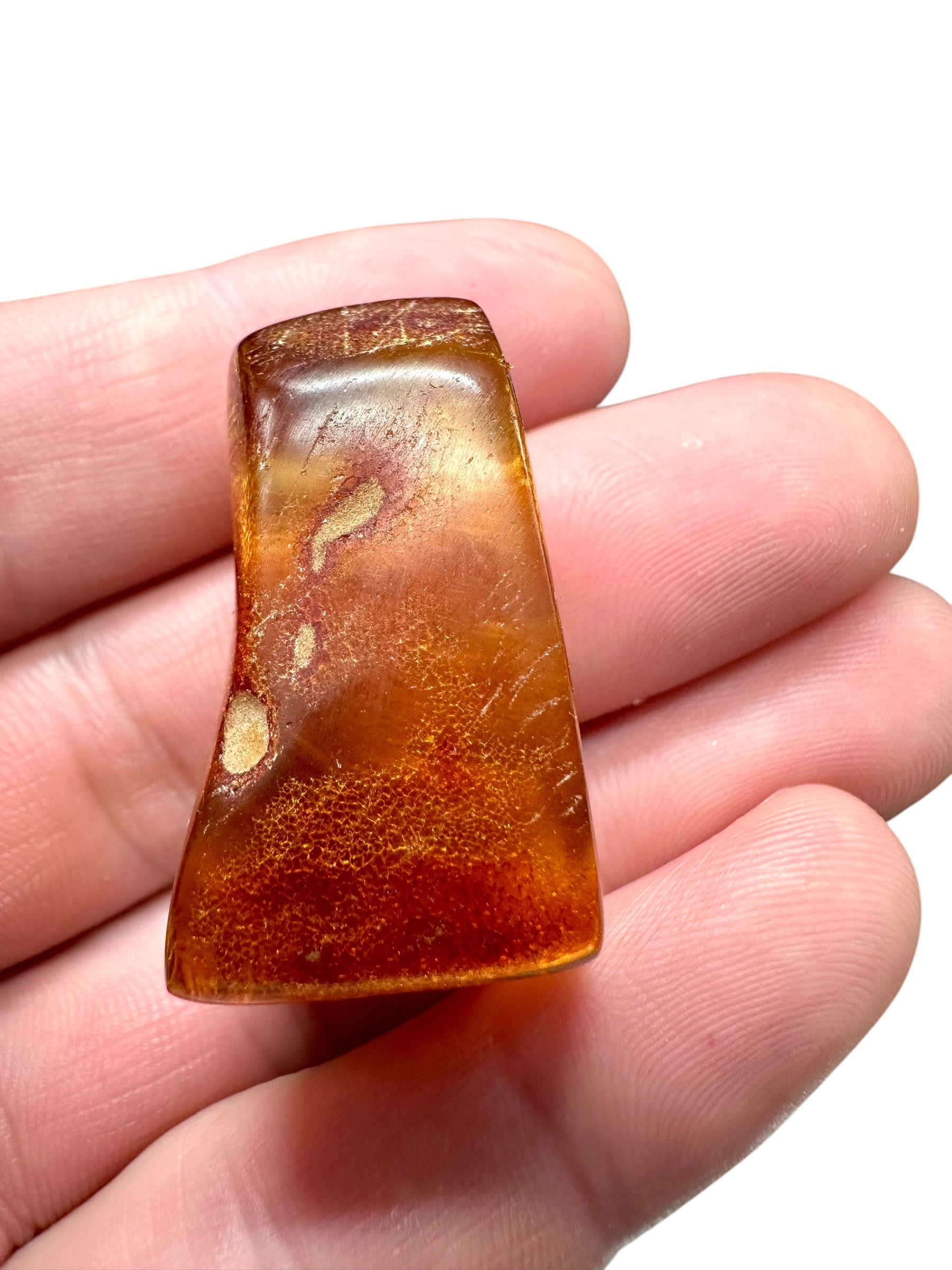 Young Amber (Copal) – Colombia - JN241