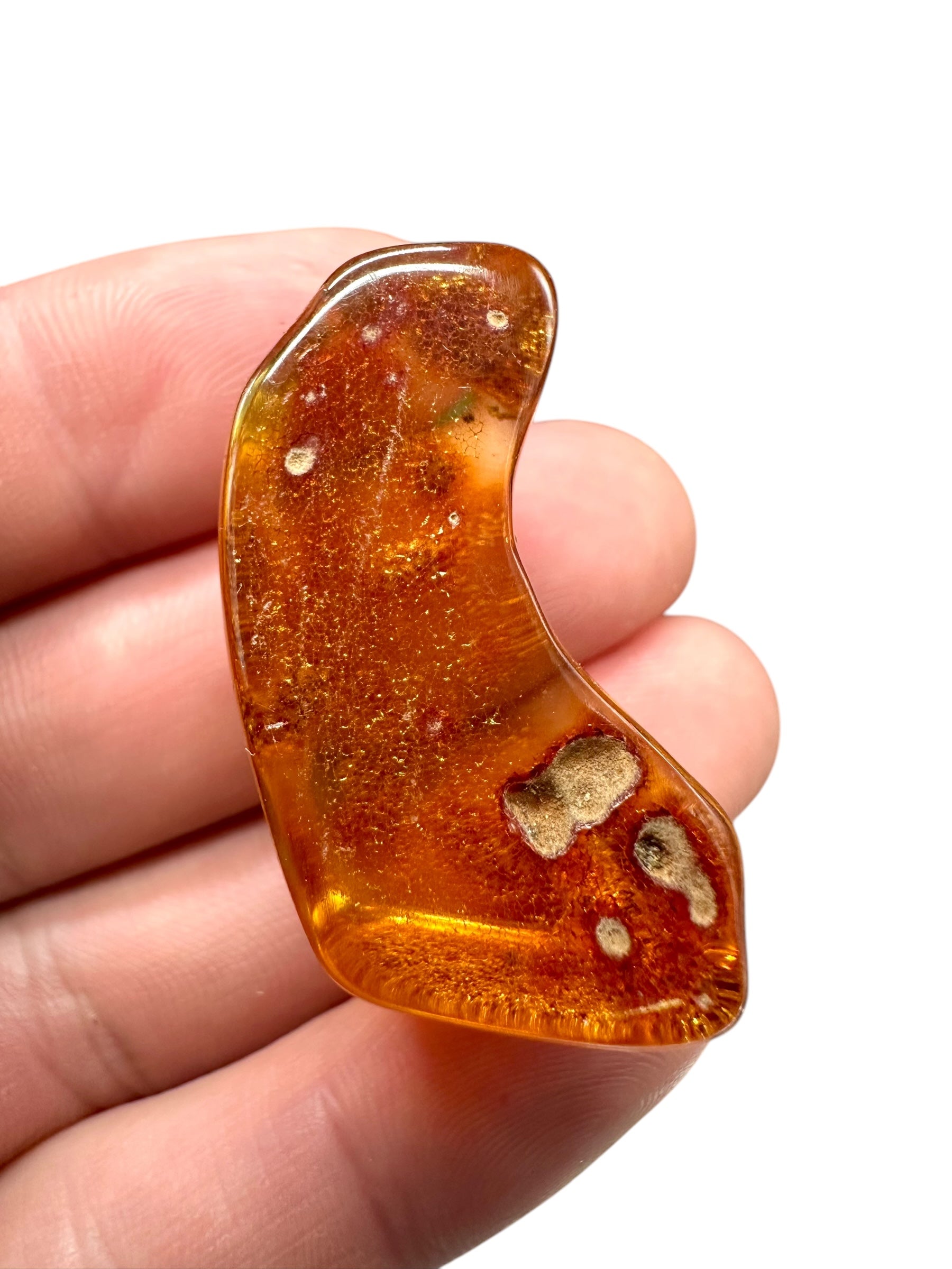 Young Amber (Copal) – Colombia - JN241