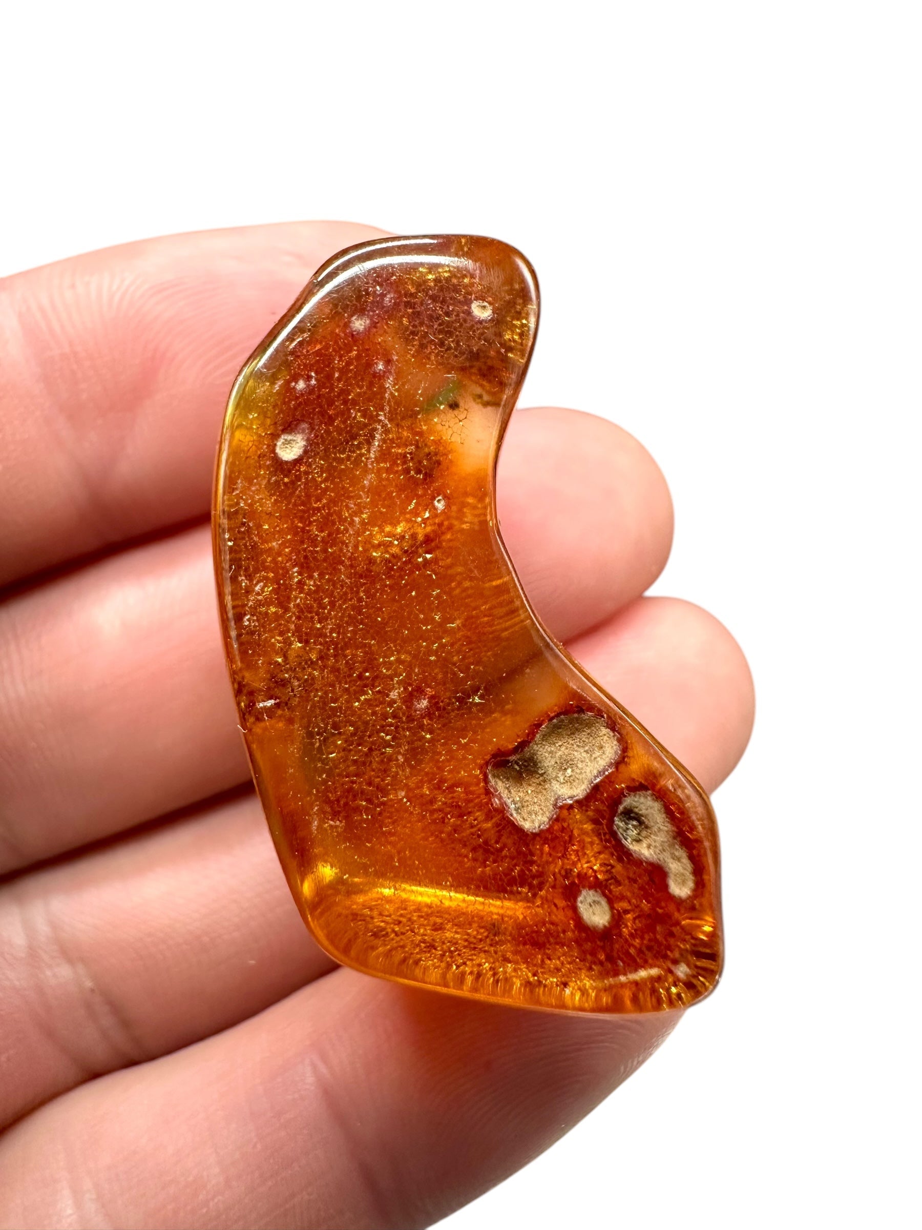 Young Amber (Copal) – Colombia - JN241