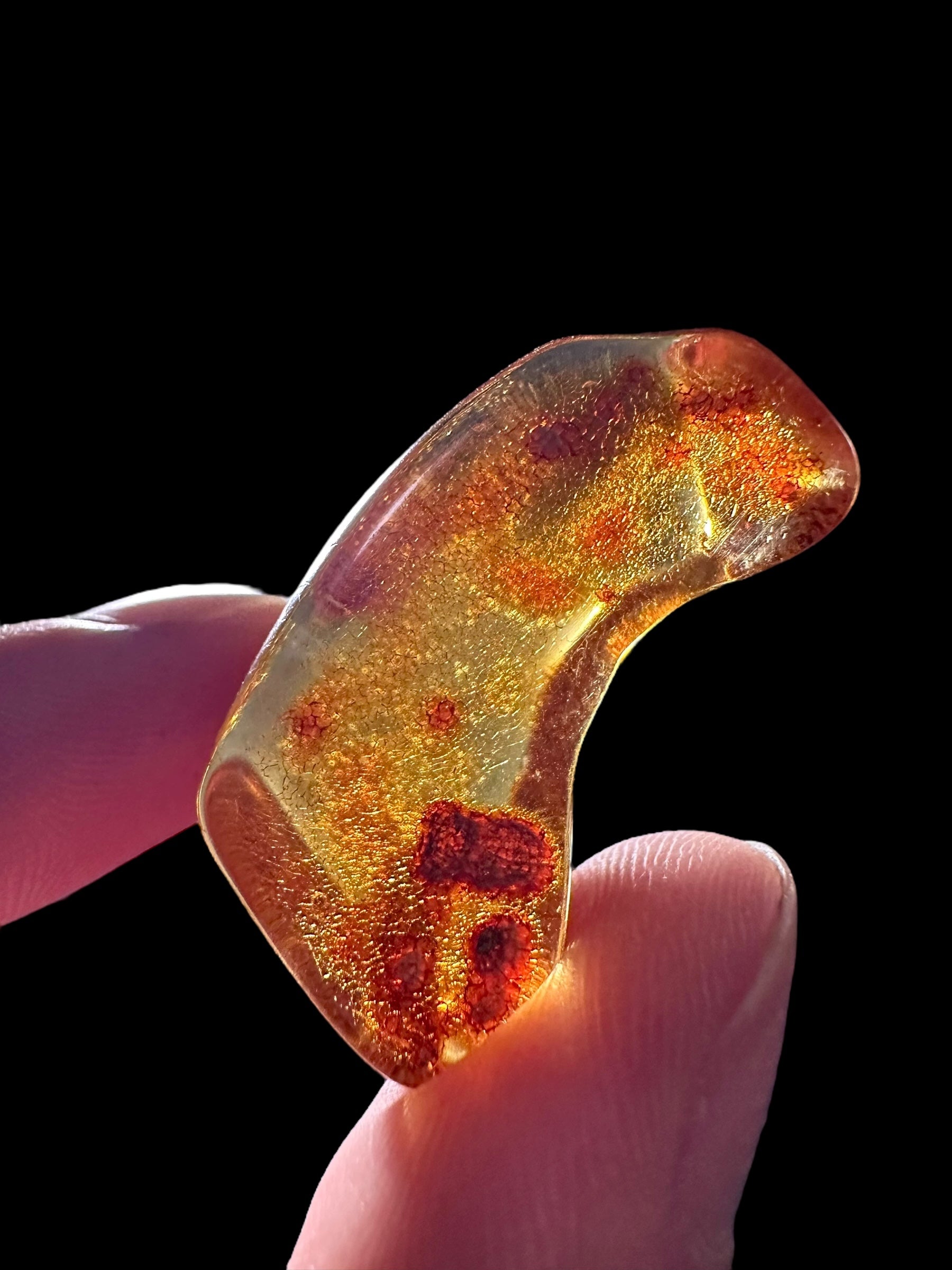 Young Amber (Copal) – Colombia - JN241