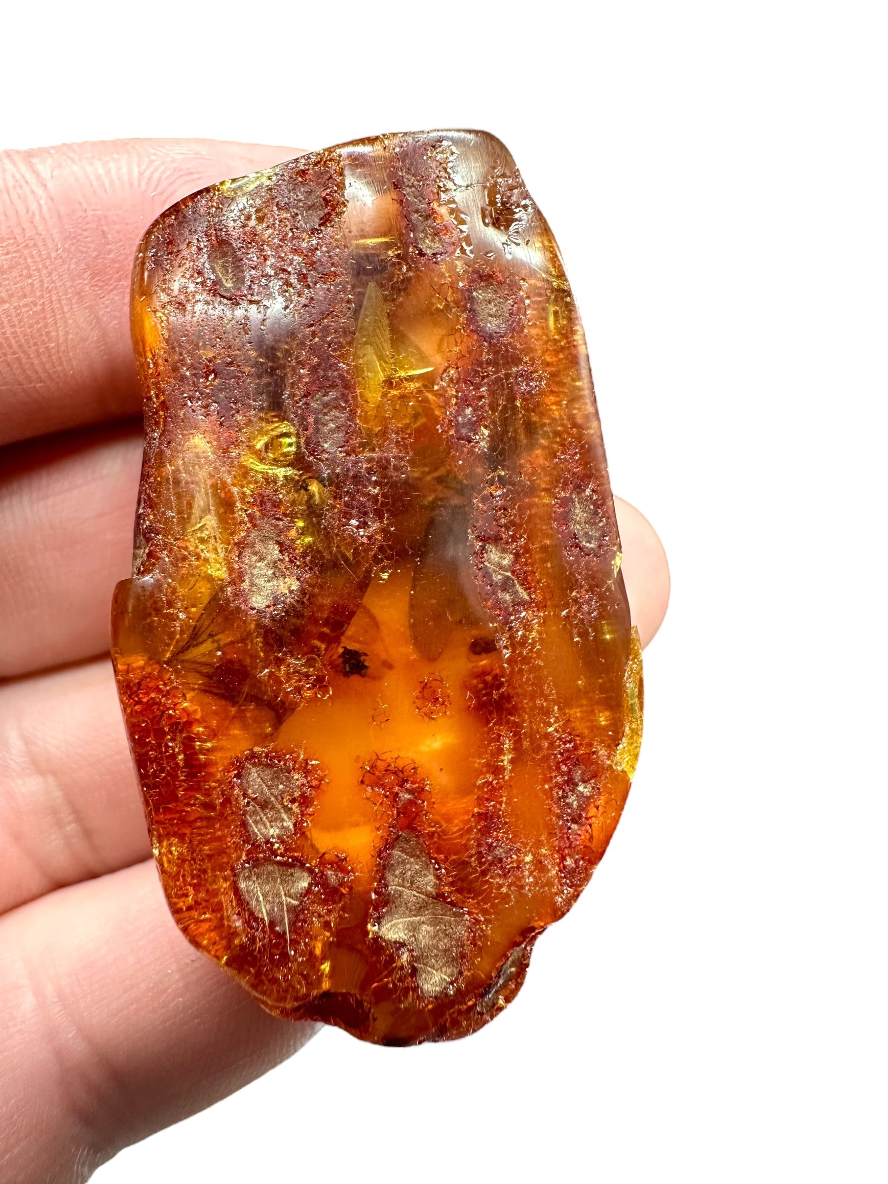 Insects in young amber (copal) – Santander, Colombia - IJ059