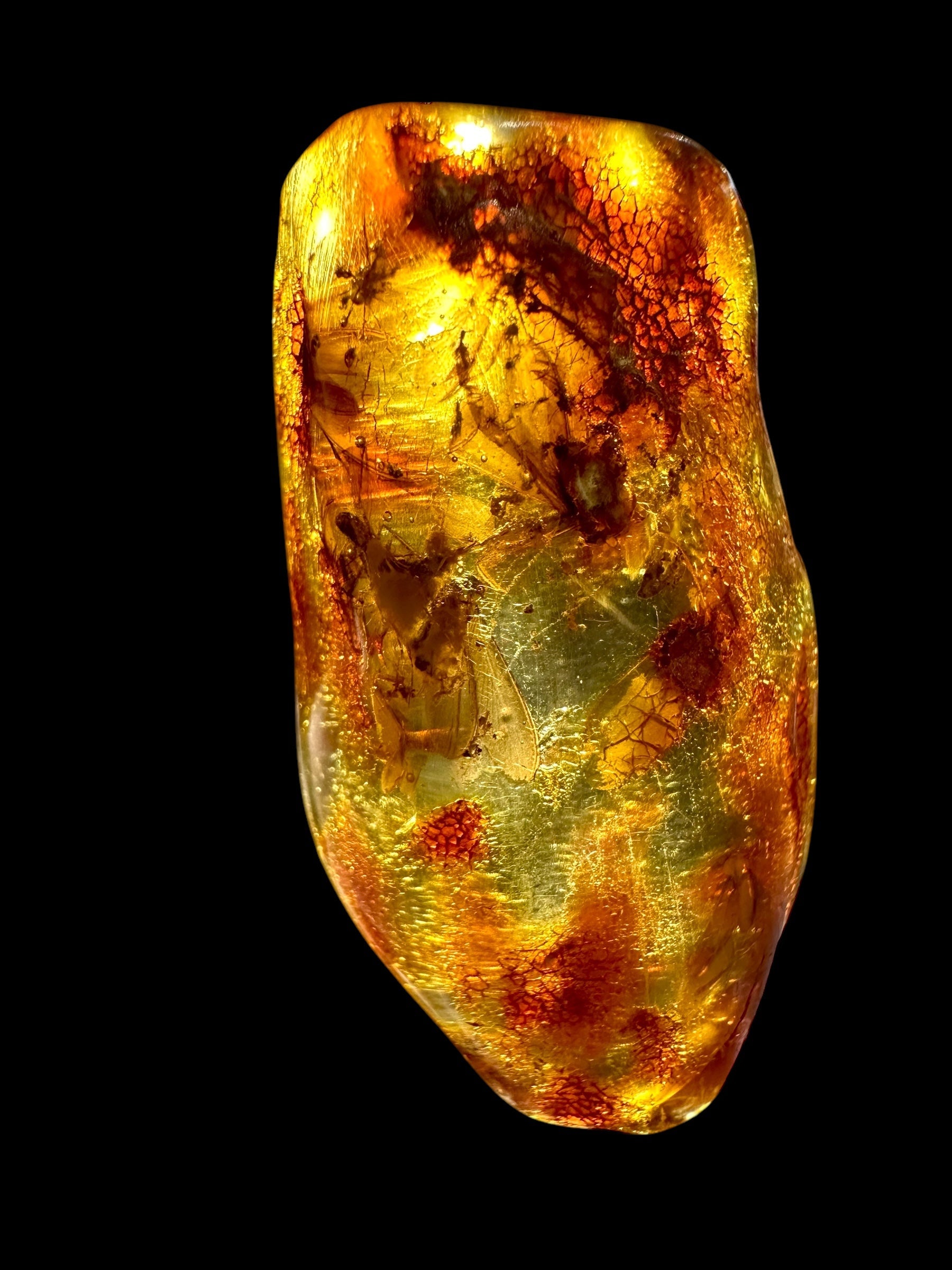 Insects in young amber (copal) – Santander, Colombia - IJ059