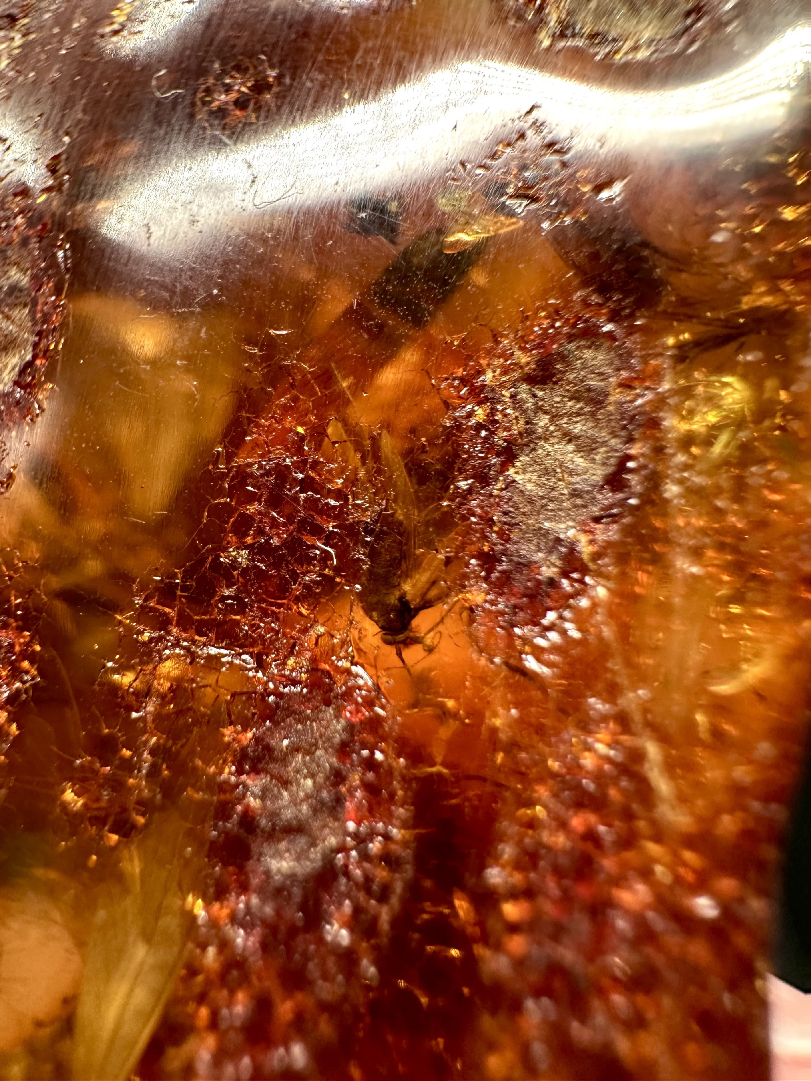 Insects in young amber (copal) – Santander, Colombia - IJ059