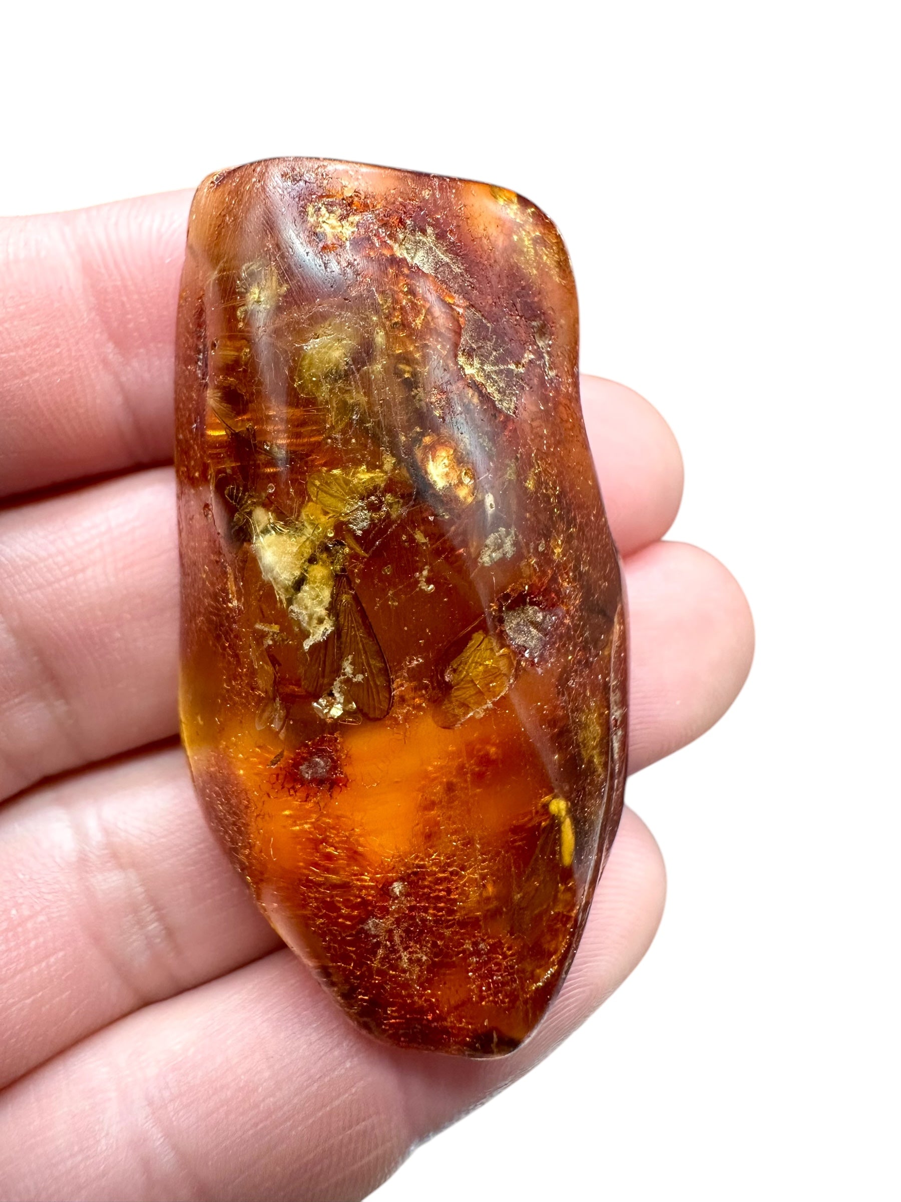 Insects in young amber (copal) – Santander, Colombia