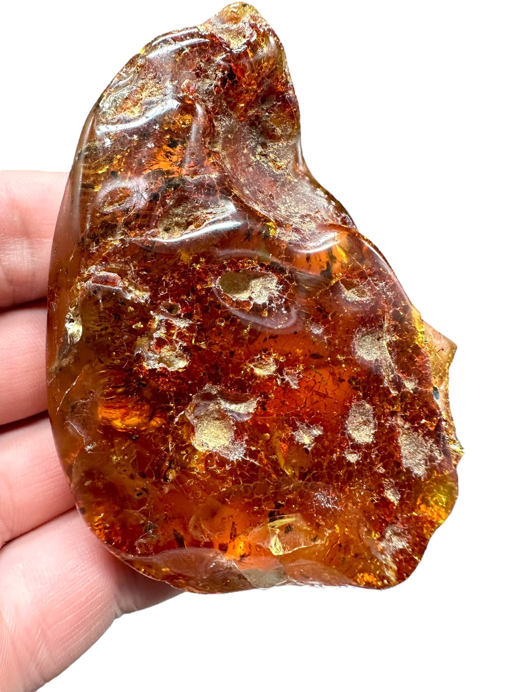 Insects in young amber (copal) – Santander, Colombia - IJ060