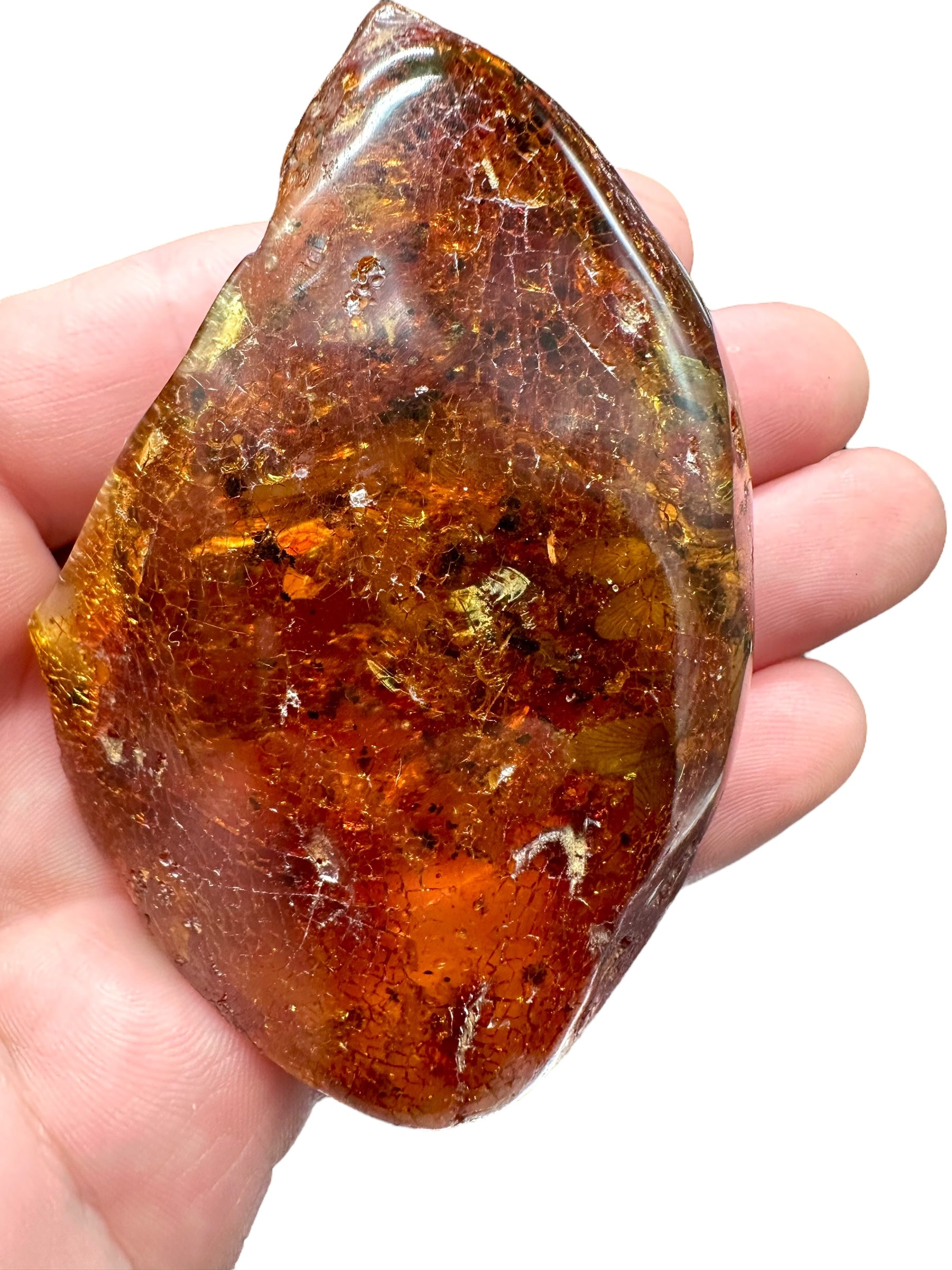 Insects in young amber (copal) – Santander, Colombia - IJ060