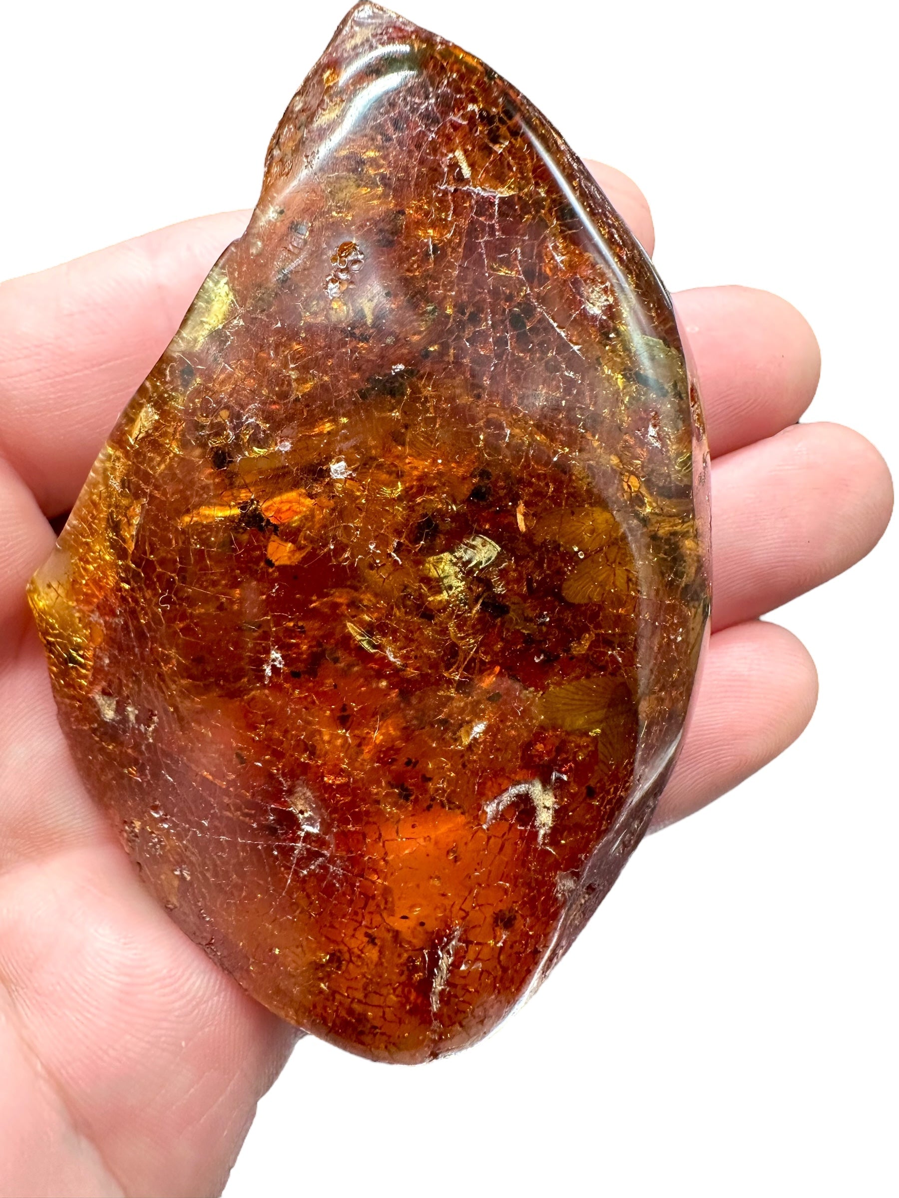 Insects in young amber (copal) – Santander, Colombia - IJ060