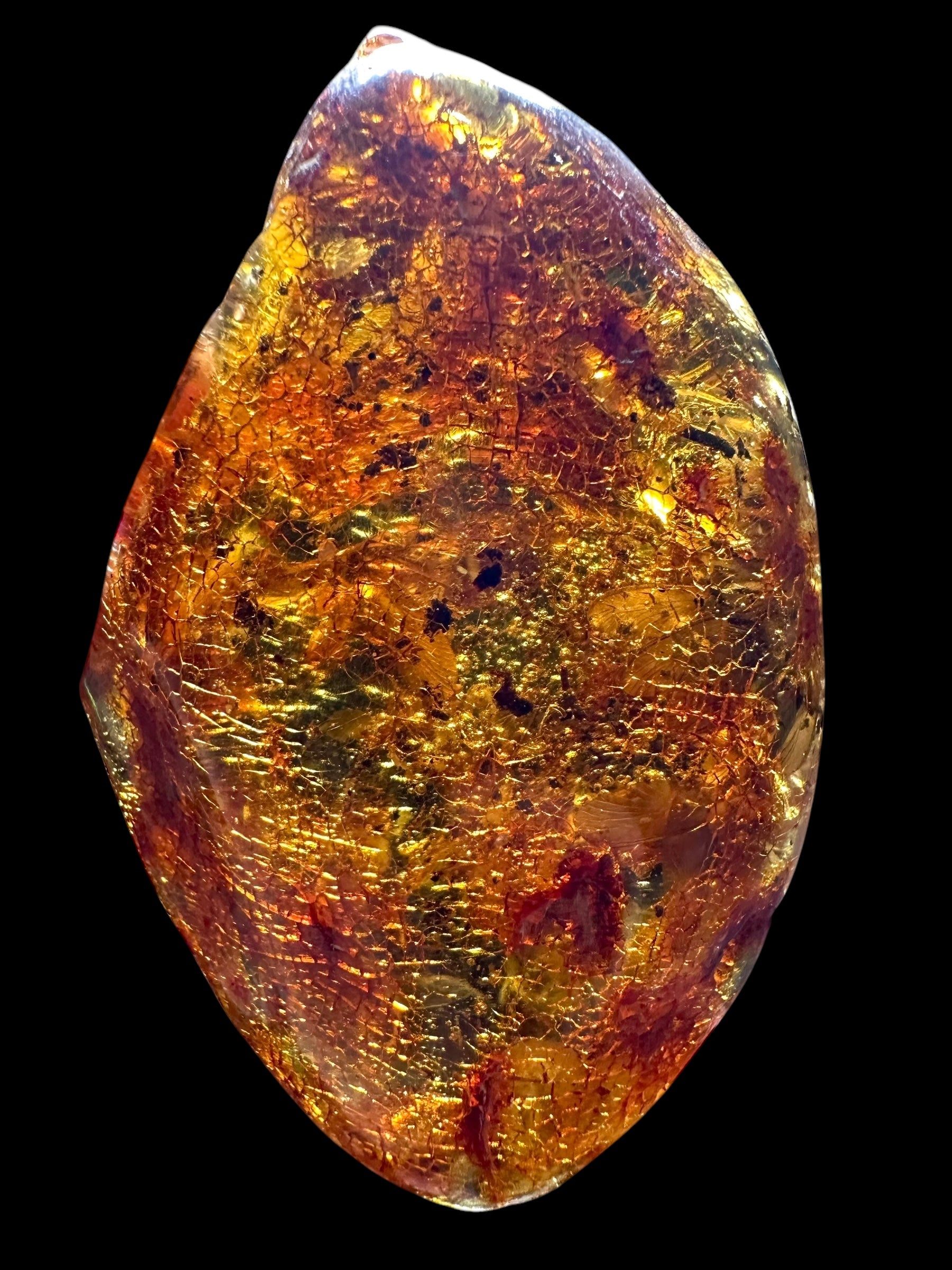 Insects in young amber (copal) – Santander, Colombia - IJ060