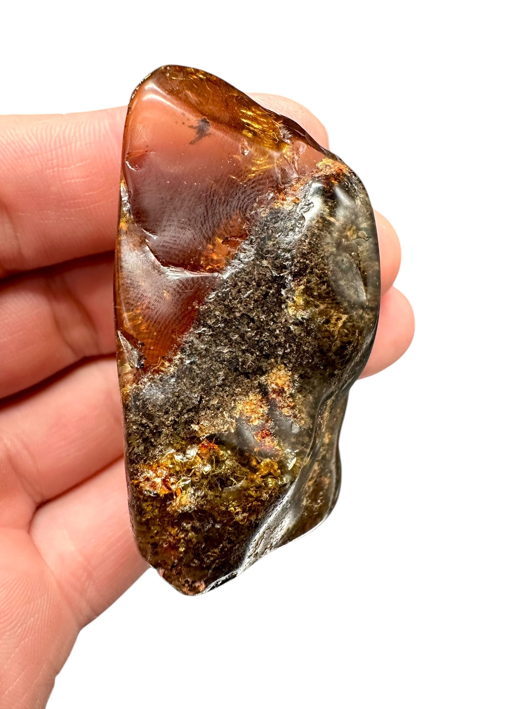 Insects in young amber (copal) – Santander, Colombia - IJ062