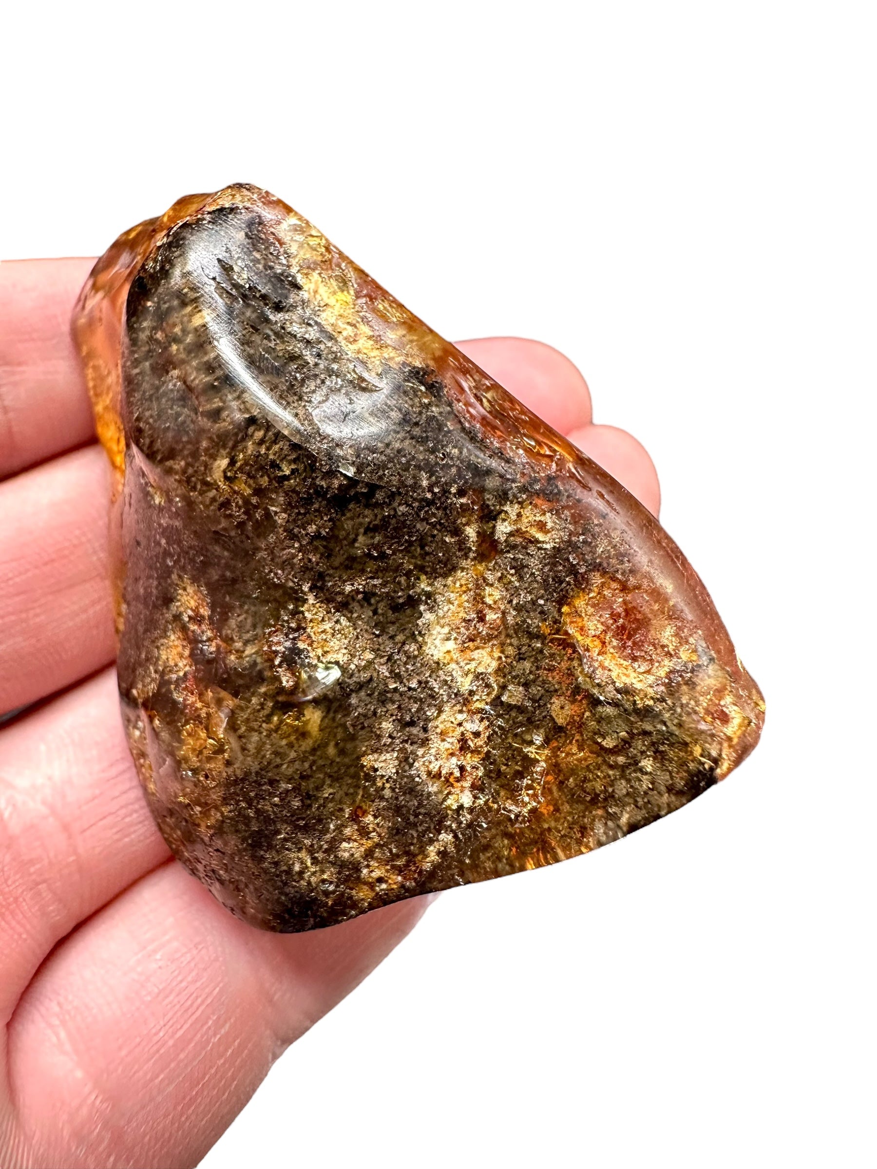 Insects in young amber (copal) – Santander, Colombia - IJ062