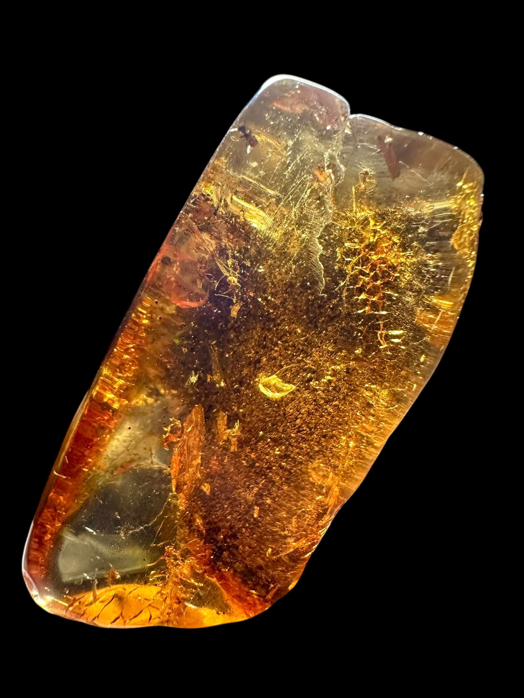Insects in young amber (copal) – Santander, Colombia - IJ062