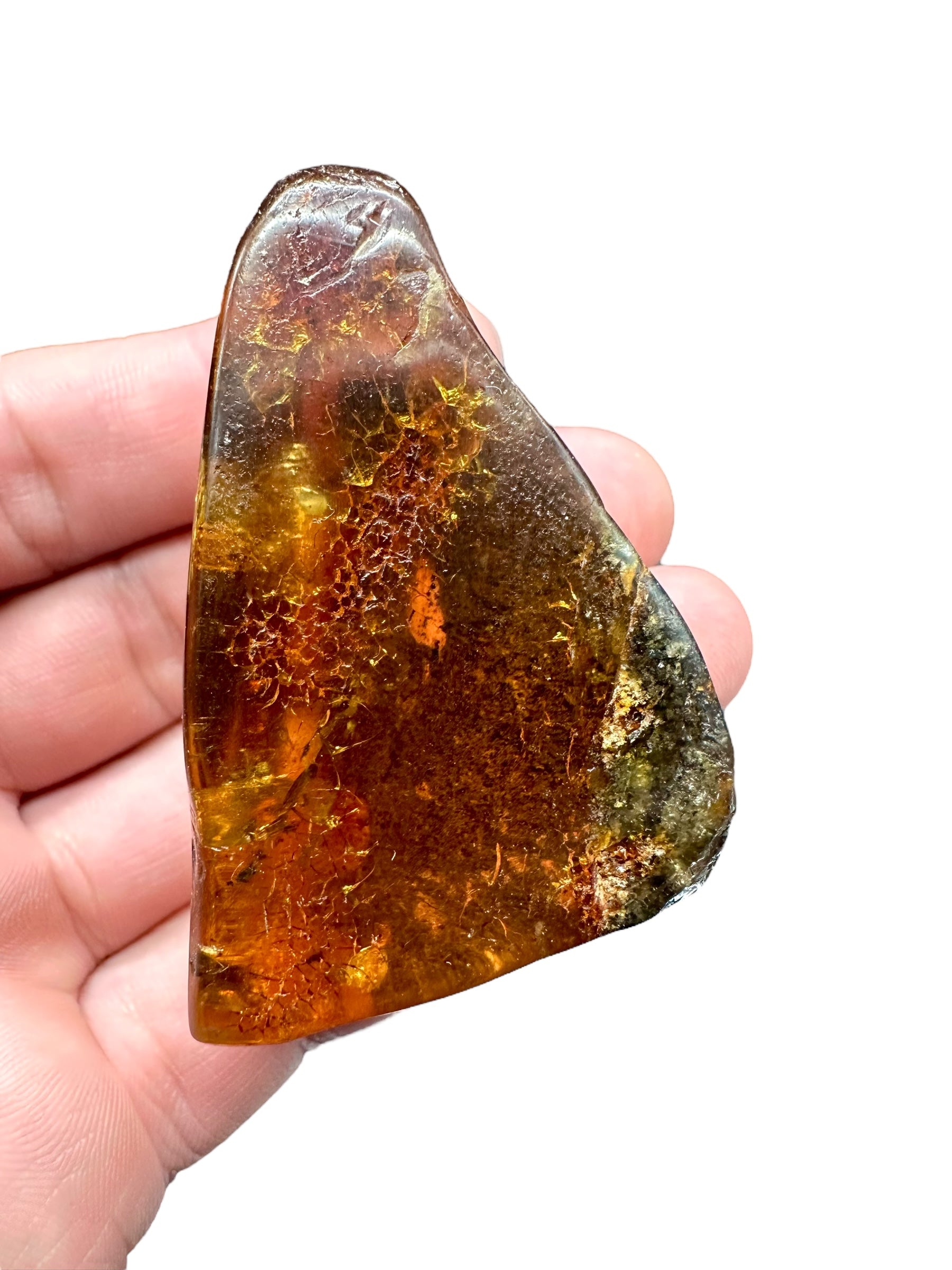 Insects in young amber (copal) – Santander, Colombia