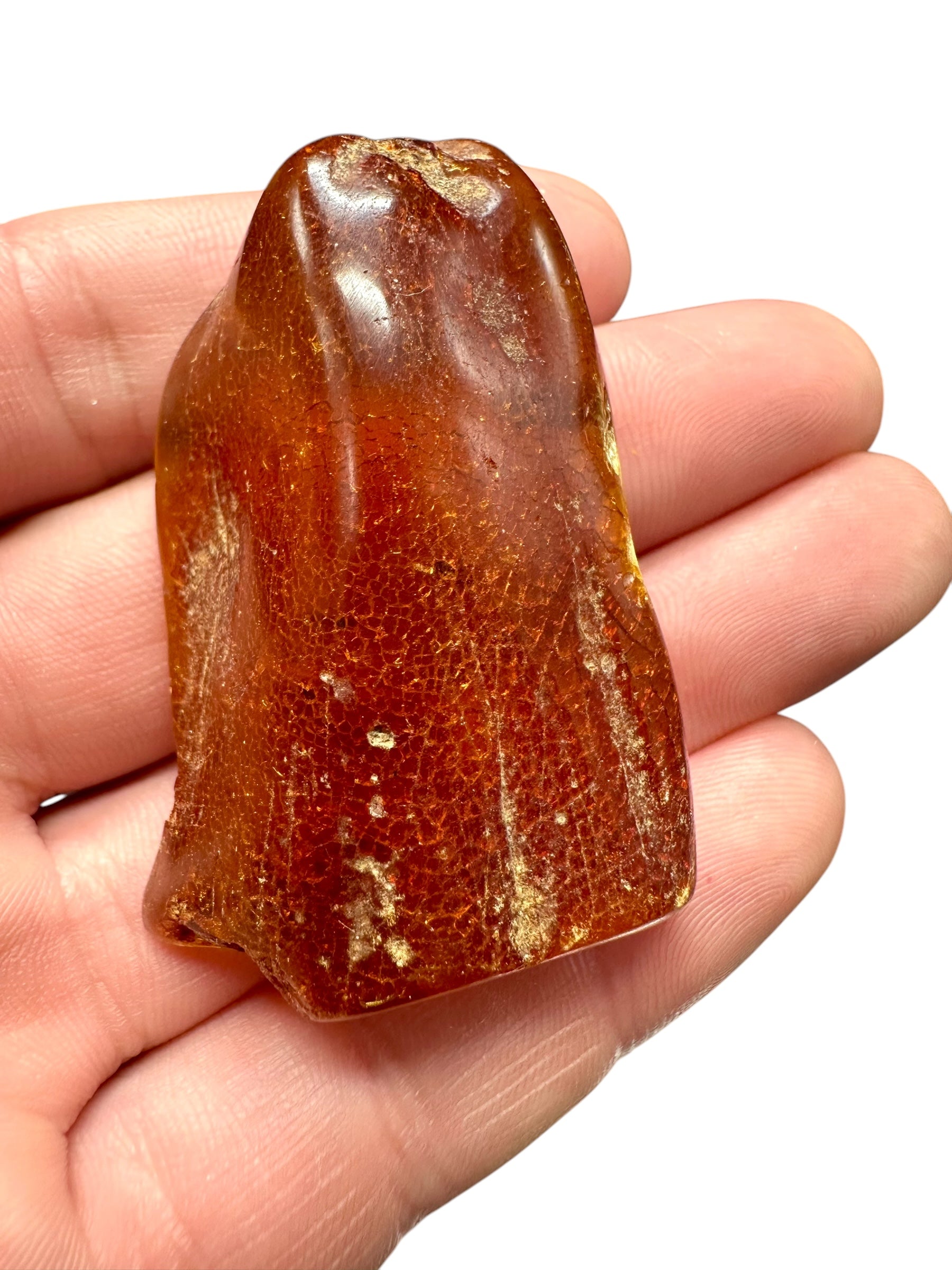 Insects in young amber (copal) – Santander, Colombia - IJ063