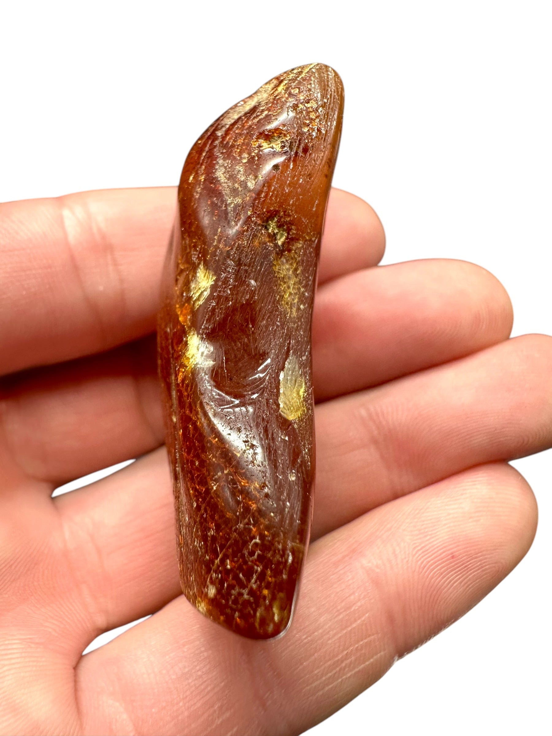 Insects in young amber (copal) – Santander, Colombia - IJ063