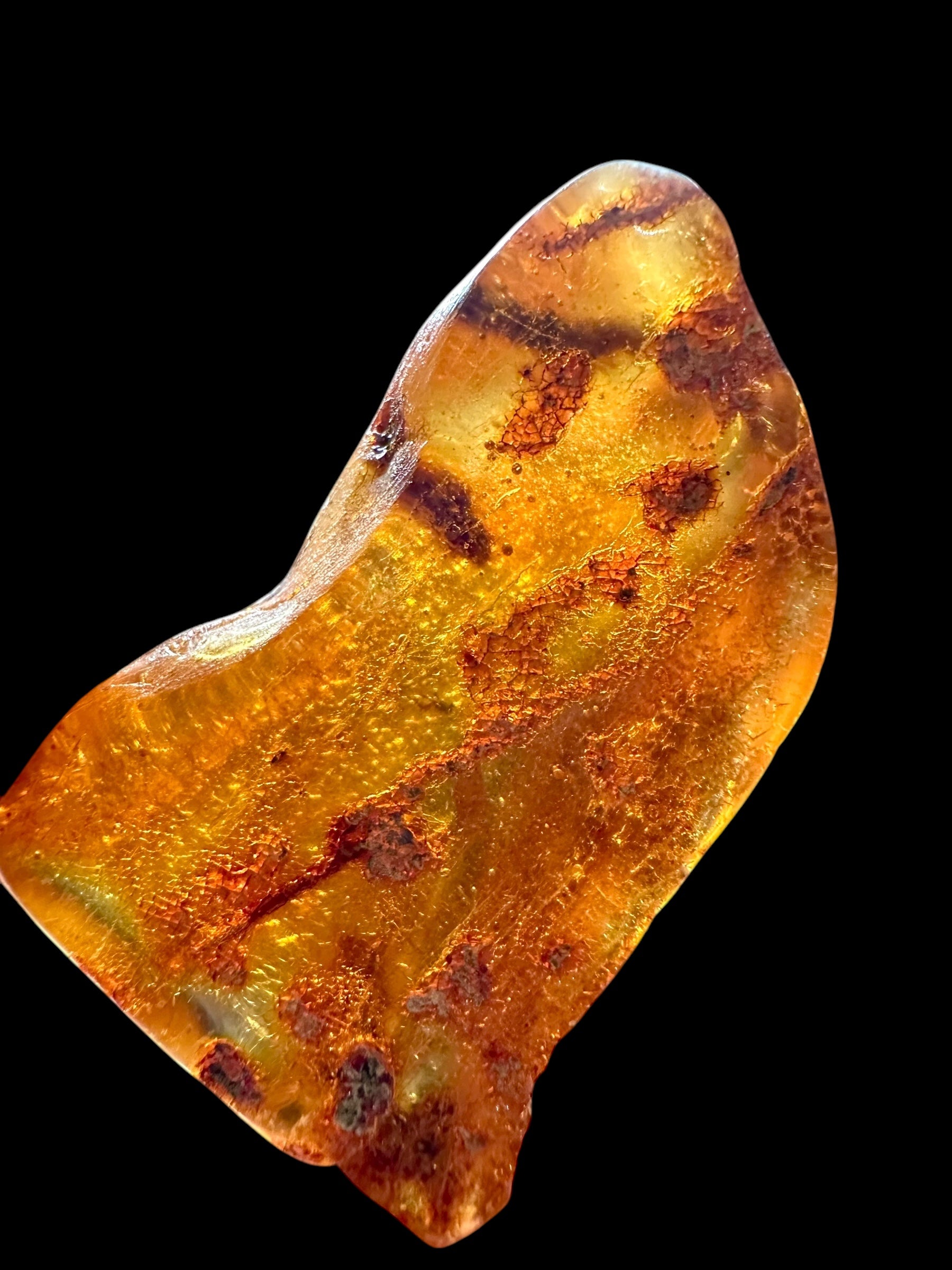 Insects in young amber (copal) – Santander, Colombia - IJ063