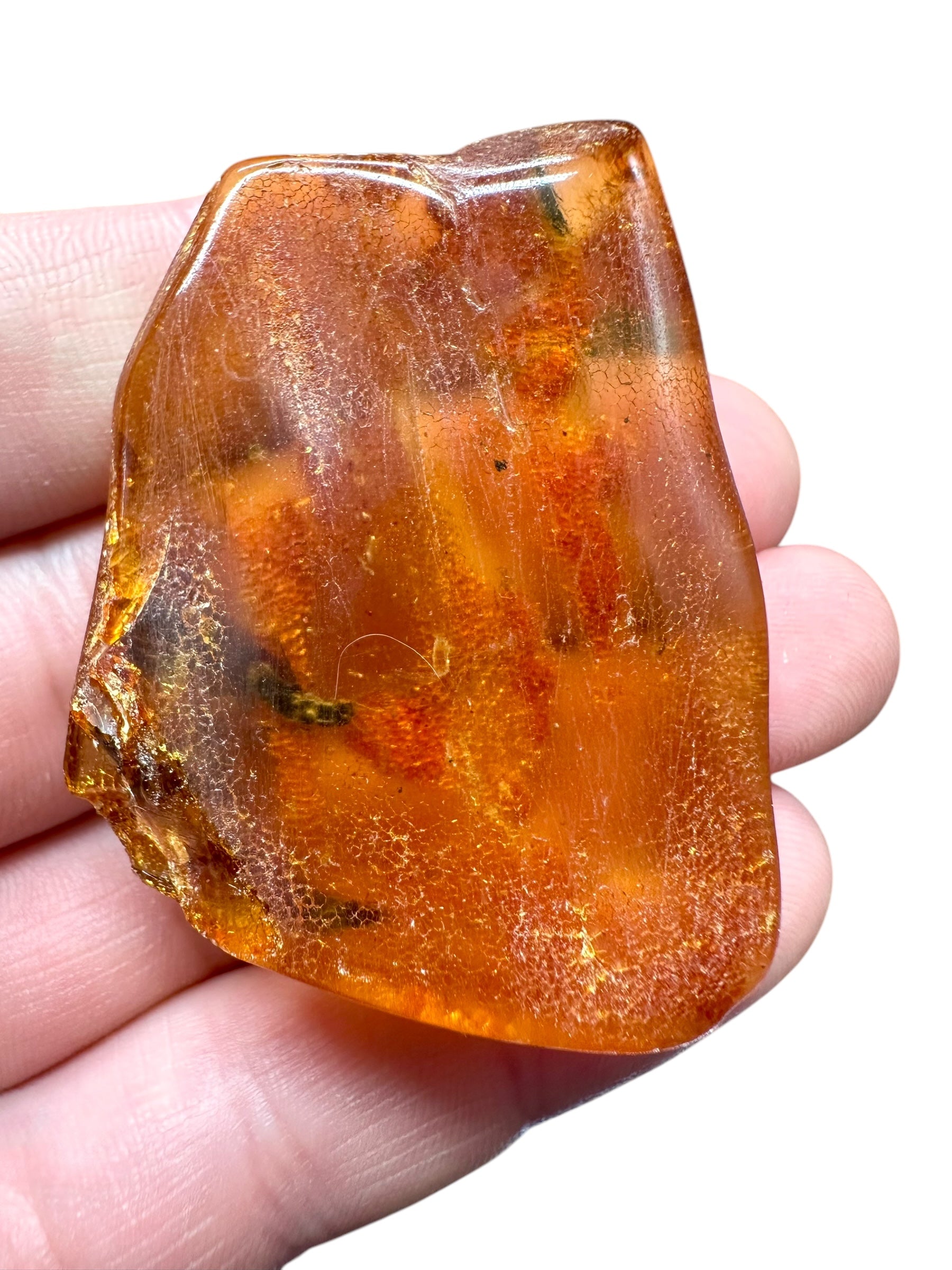 Insects in young amber (copal) – Santander, Colombia - IJ064